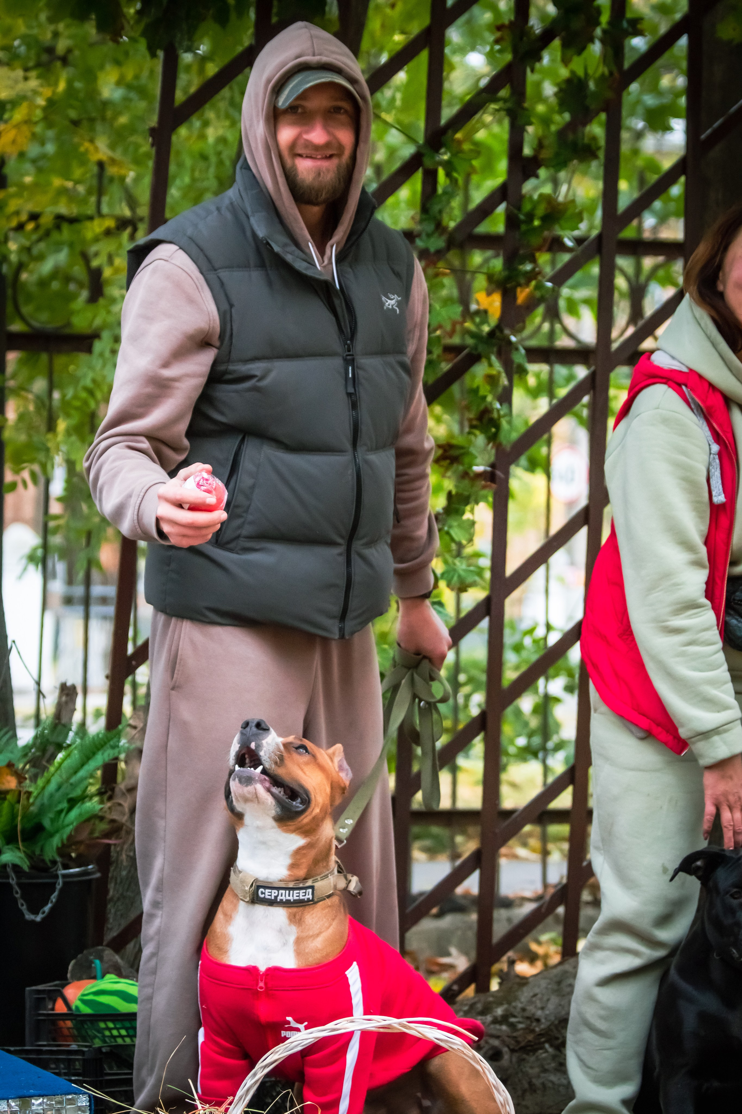 Костюмированный парад собак. Фотограф анималист — Тула, Москва