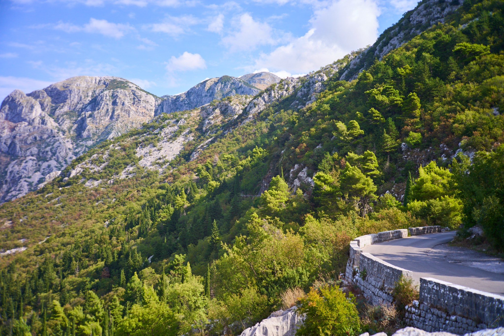 Черногория, сентябрь 2024. Фотограф, Римма Невинская