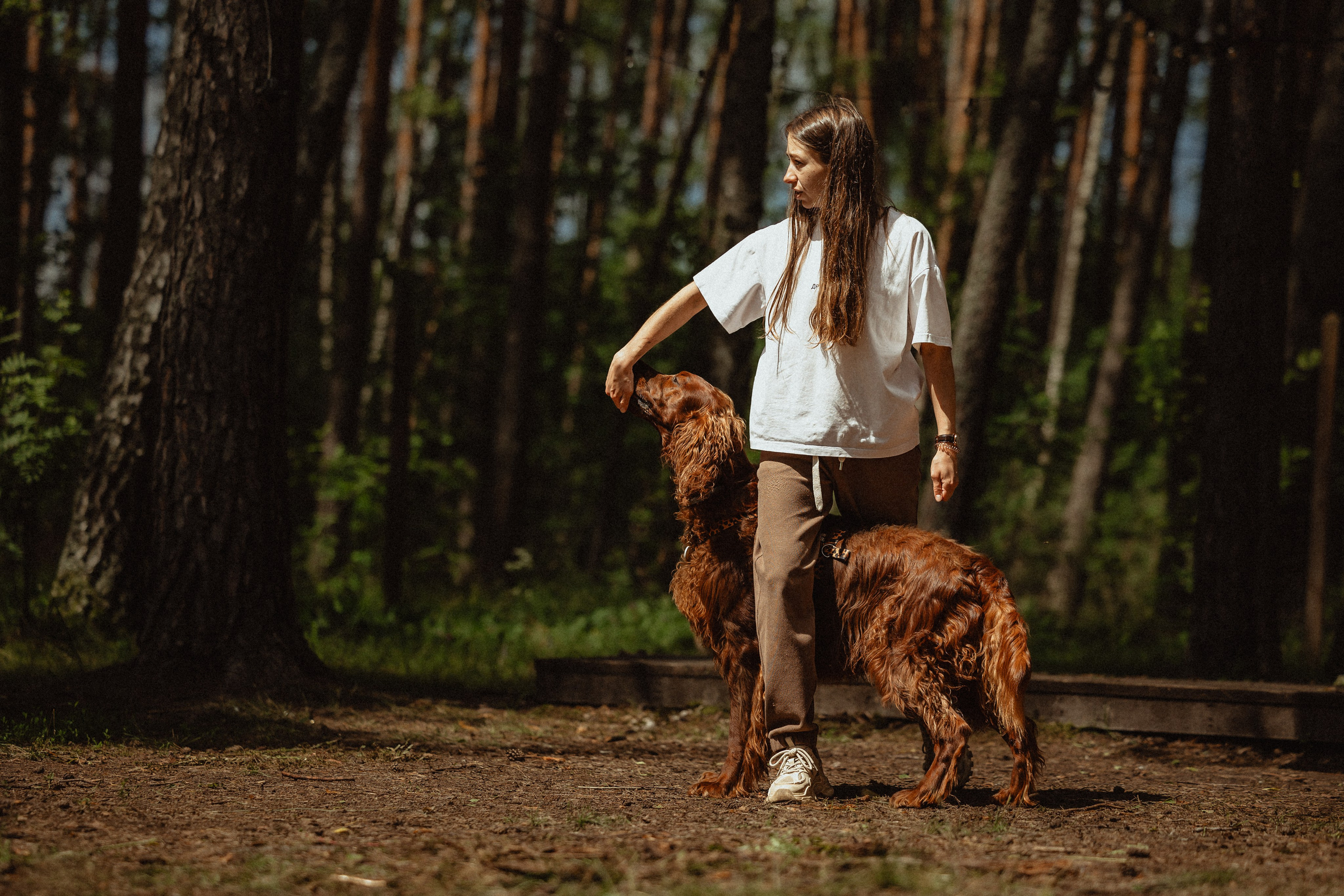 Выездной дог-тренинг от школы «Шерсть имею»