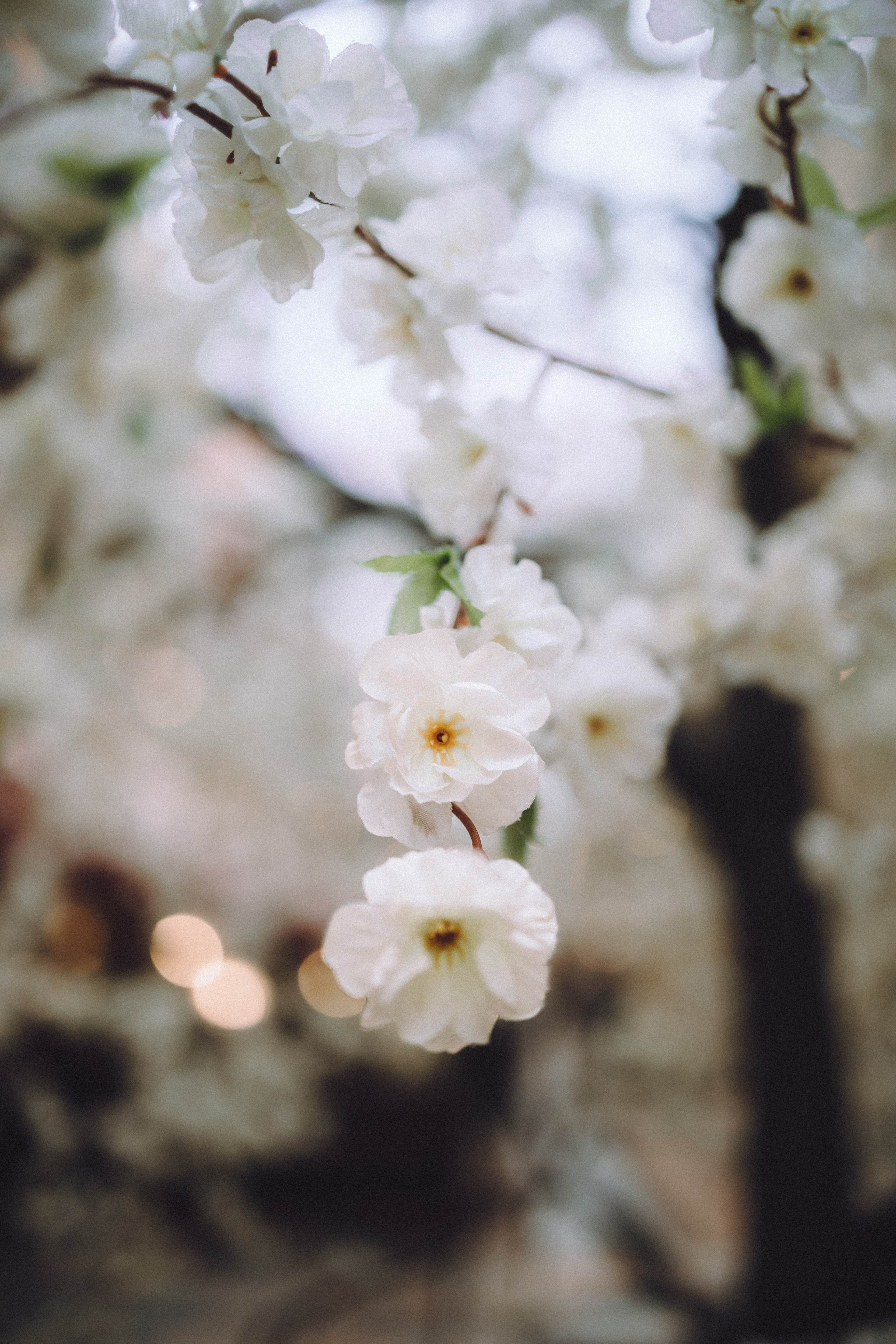 Юля, Вова и Моня