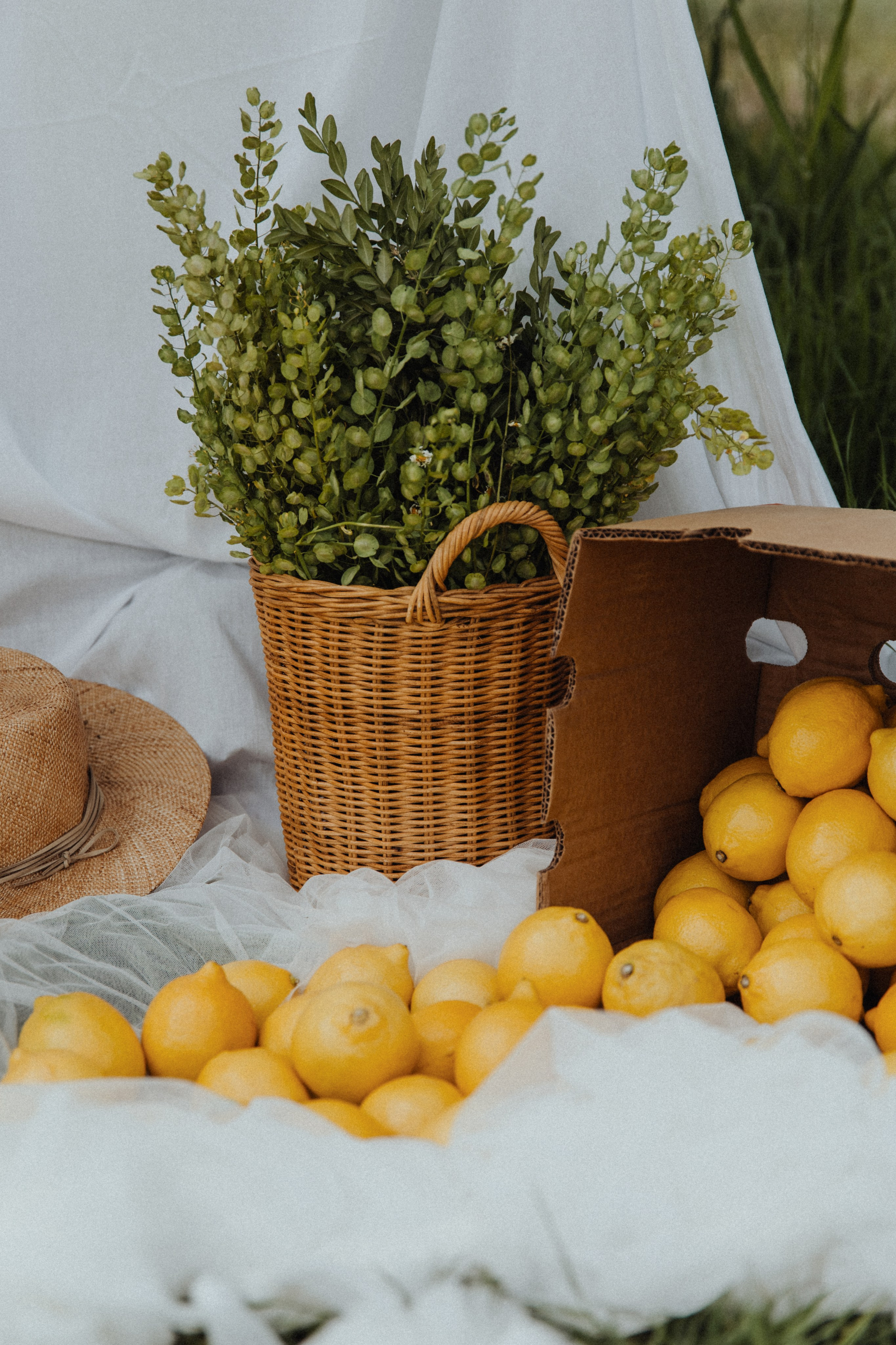 Lemon. Свадебный фотограф Анастасия Пальчикова