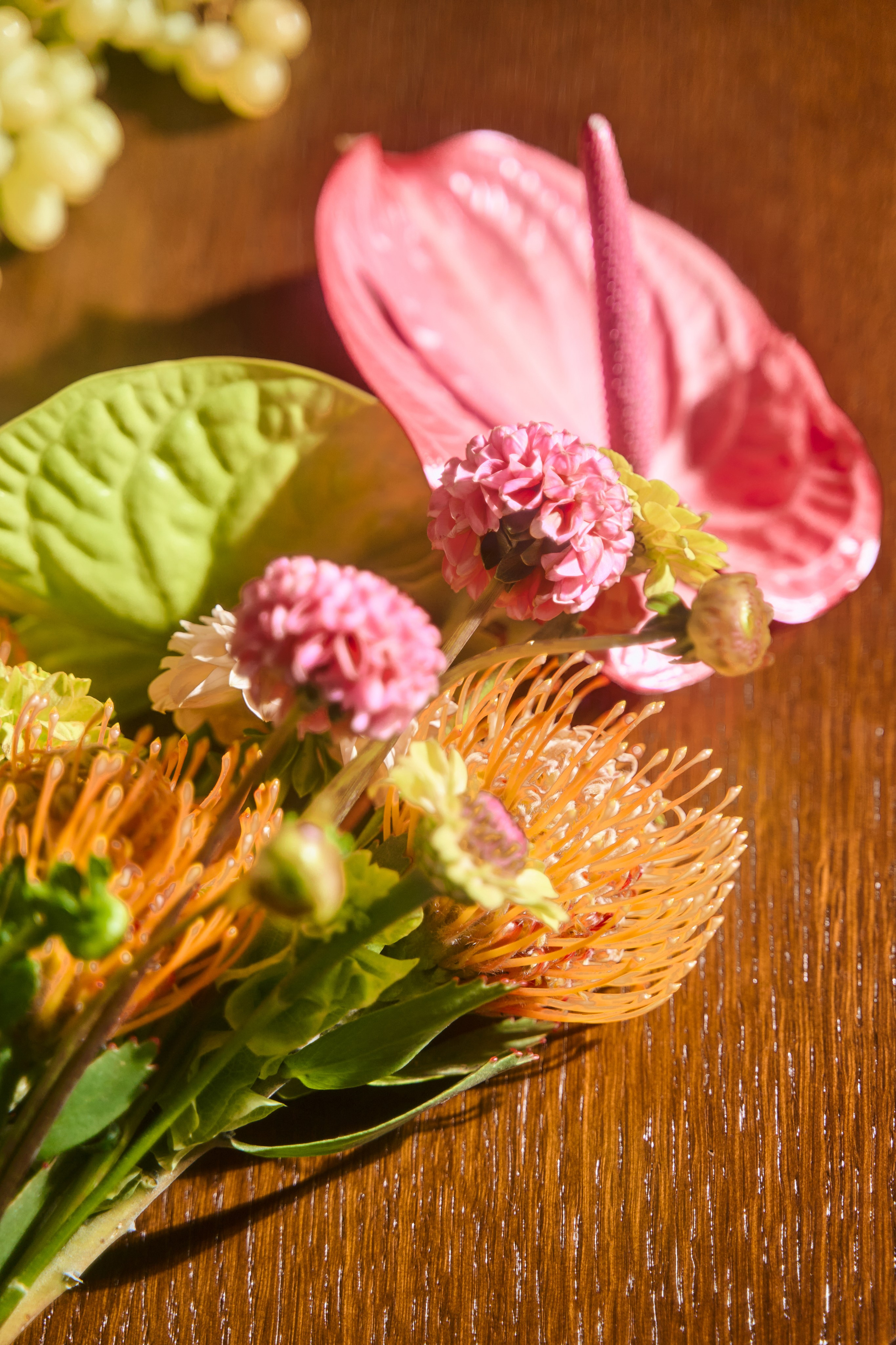 Михаил и Софья. Главная