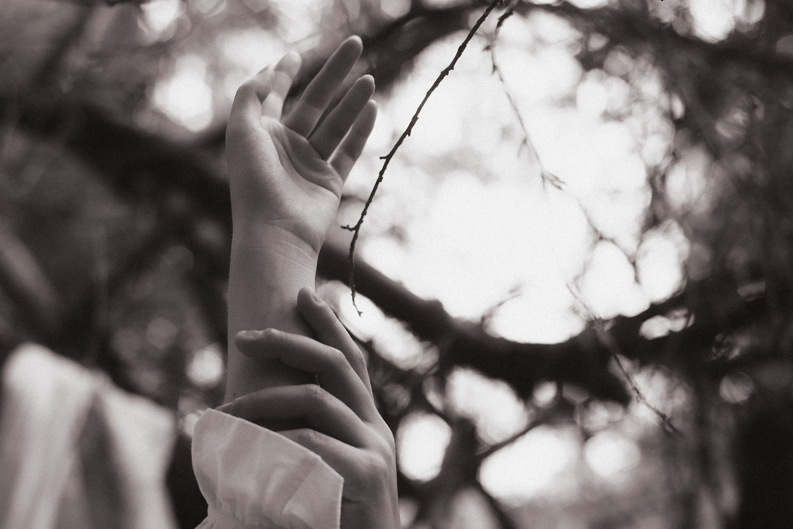 Love story в лесу. Фотограф и видеограф Анастасия Витюкова | Екатеринбург