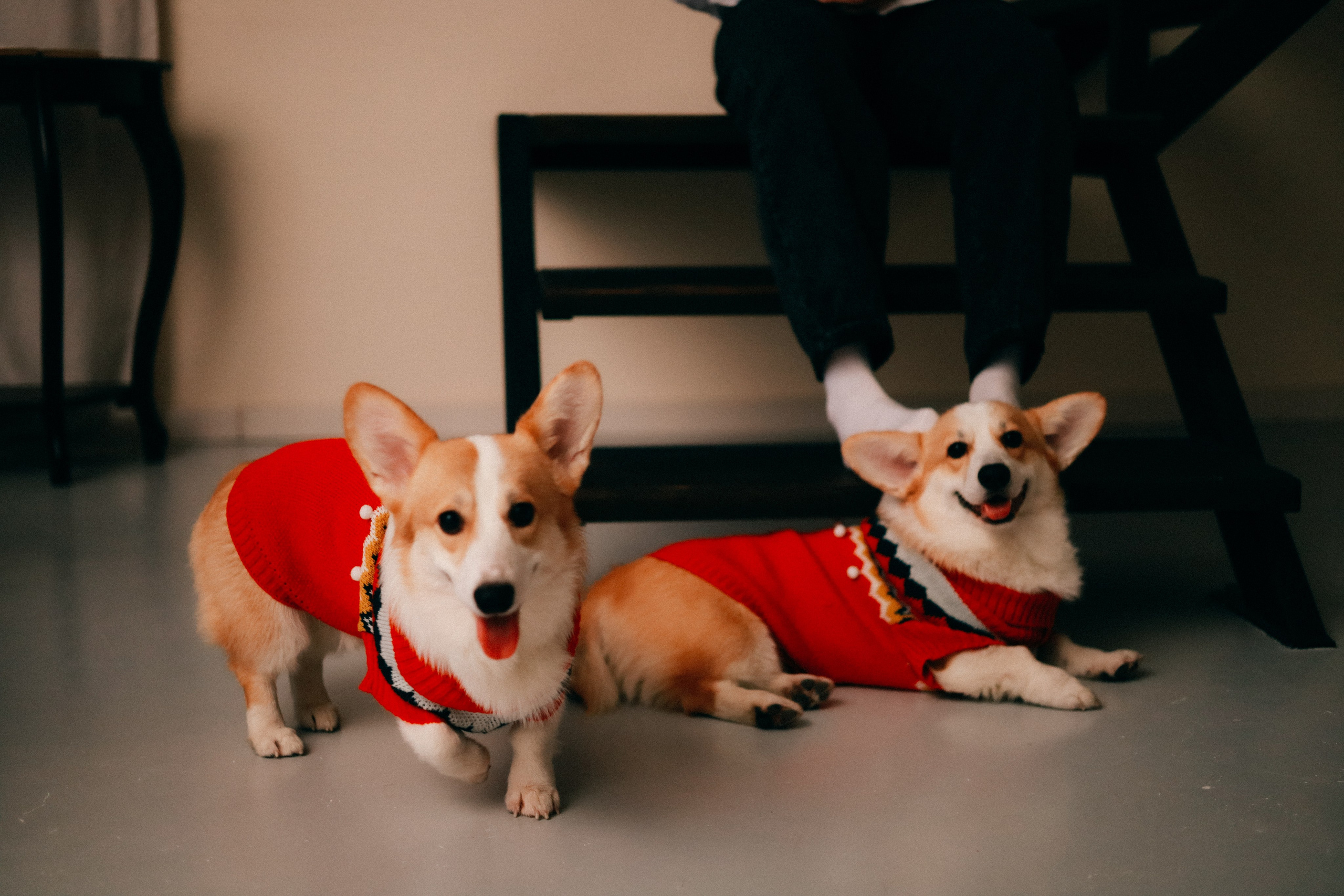 Оля, Антон и сыновья. Фотограф София Комкина