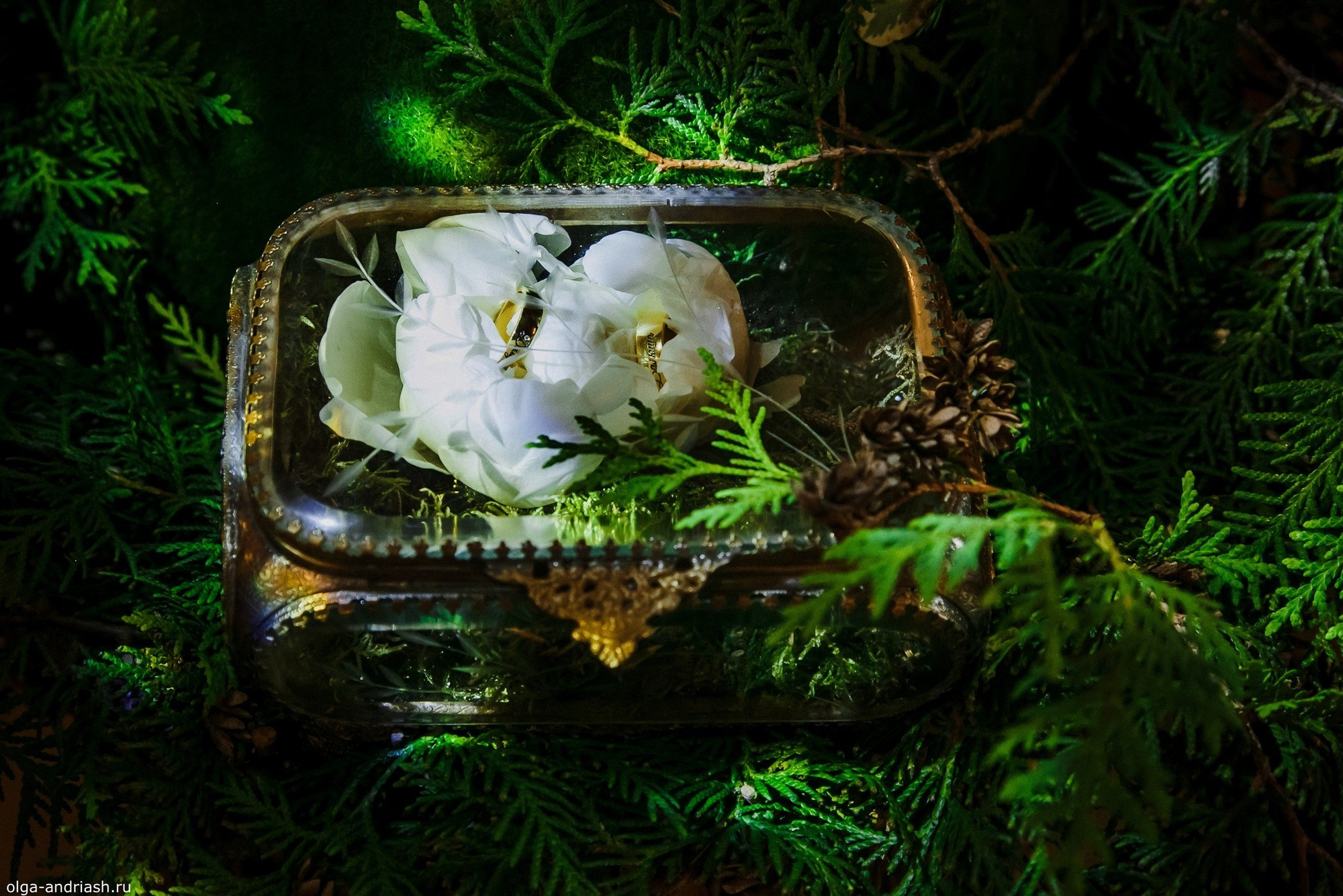 Вечерняя выездная регистрация. Семейный, портретный и свадебный фотограф в Санкт-Петербурге и Москве