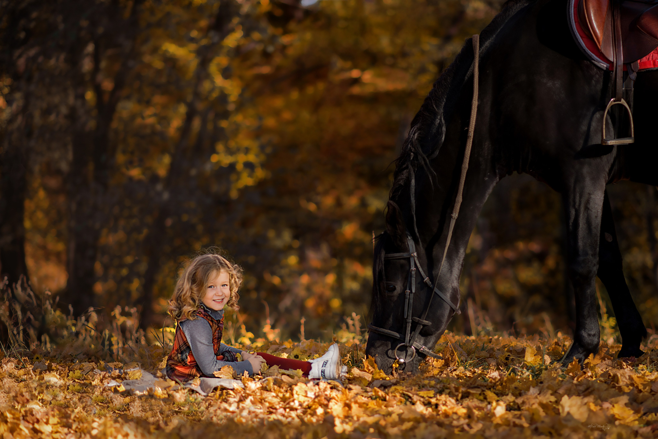Семейная съемочка с Пиратом. Конный фотограф в Саратове Юлия Иванова