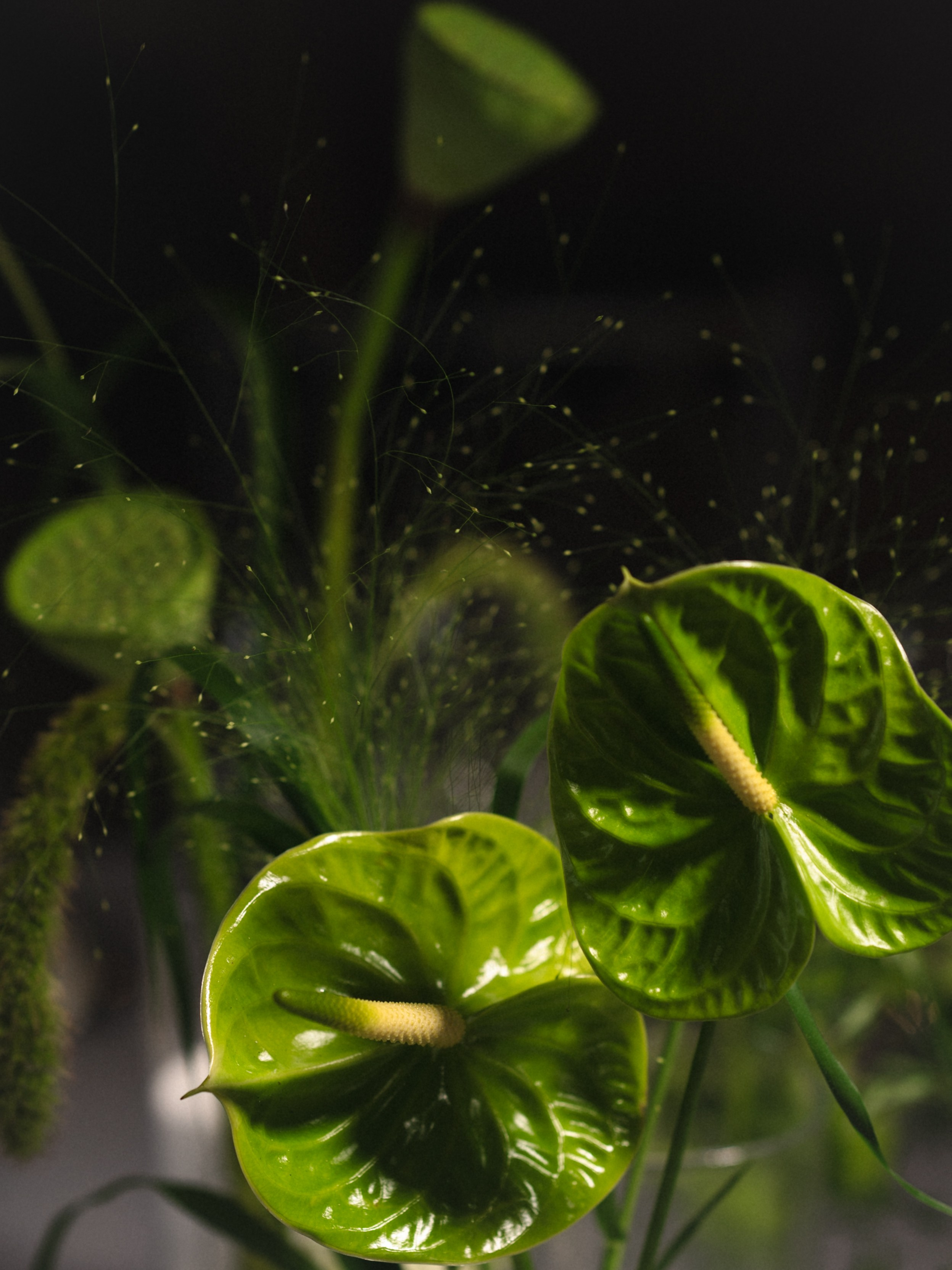 Мария и Никита. Бунгало в Москве.Аренда Бунгало в Мск