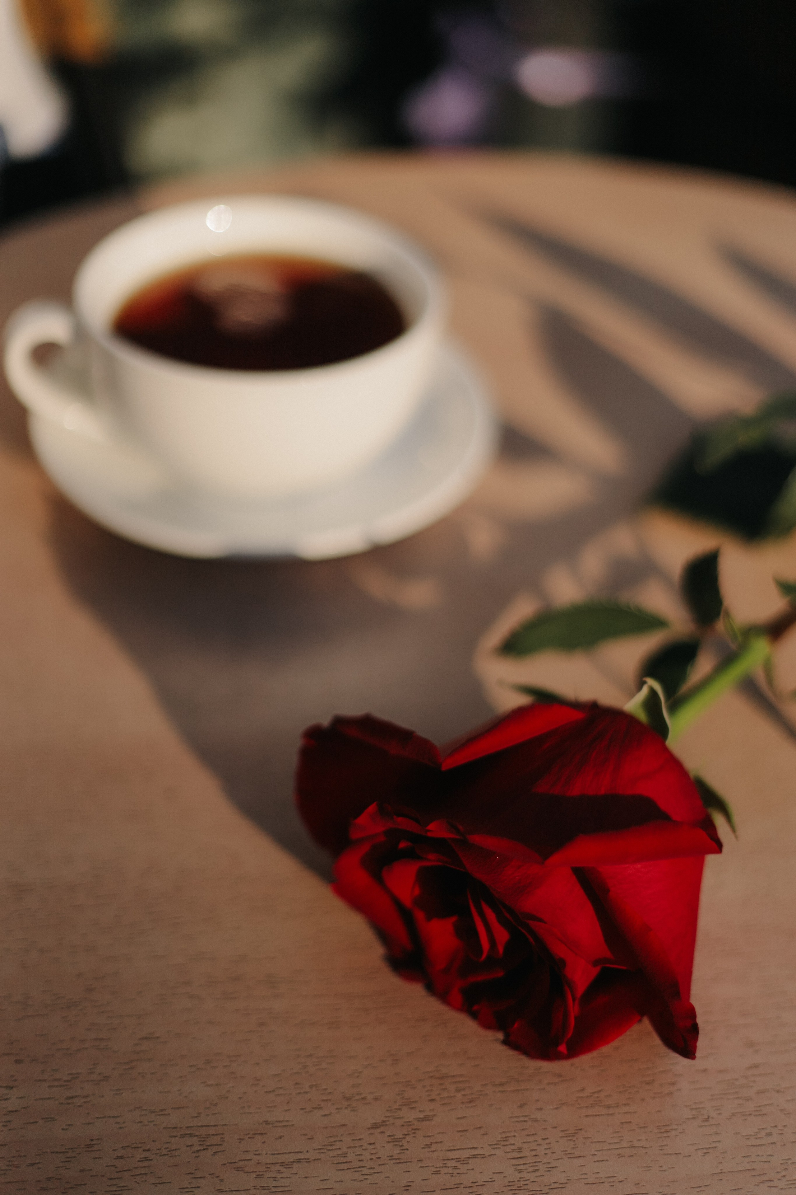 Дарья. Женский фотограф в Москве Юля Иванова