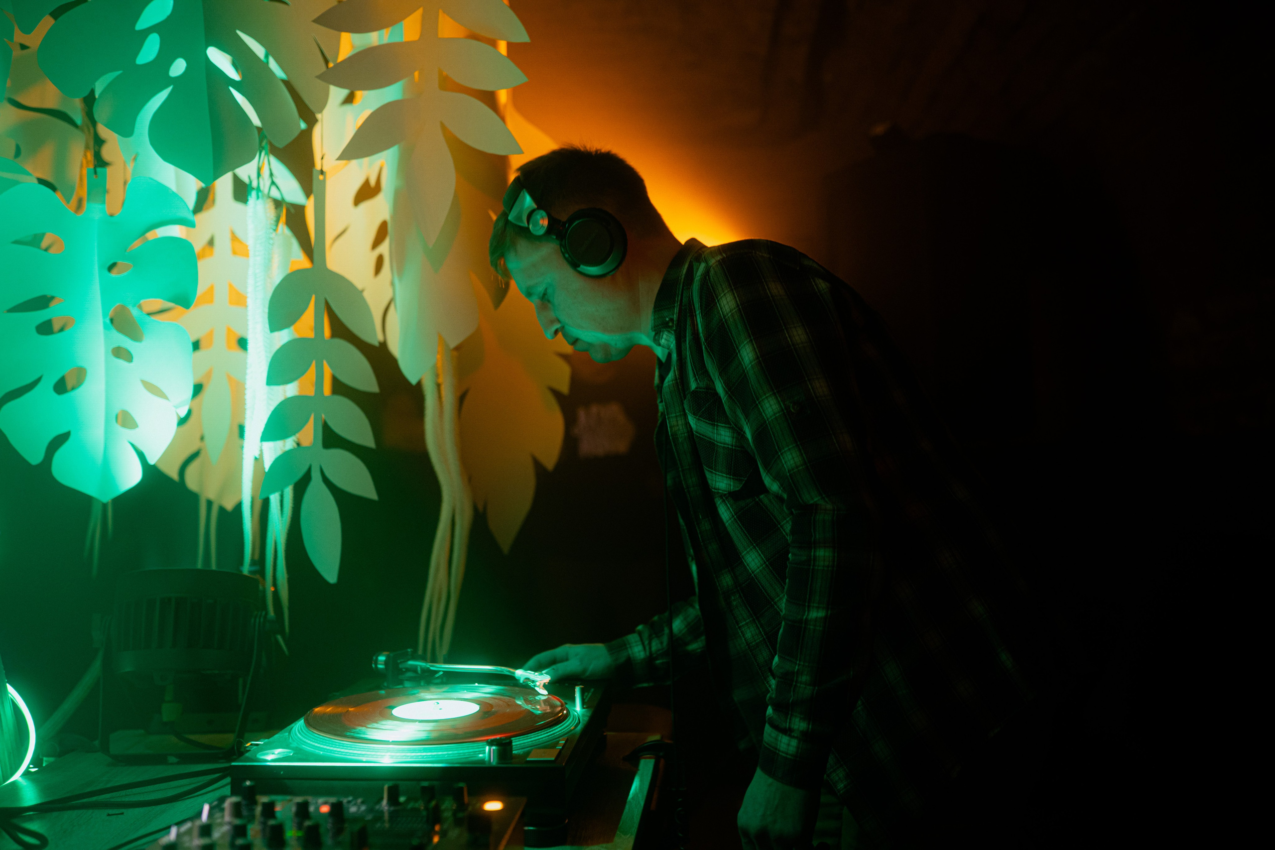 Кратная Звезда | JUNGLE WAVE. Фотограф Vika Rin