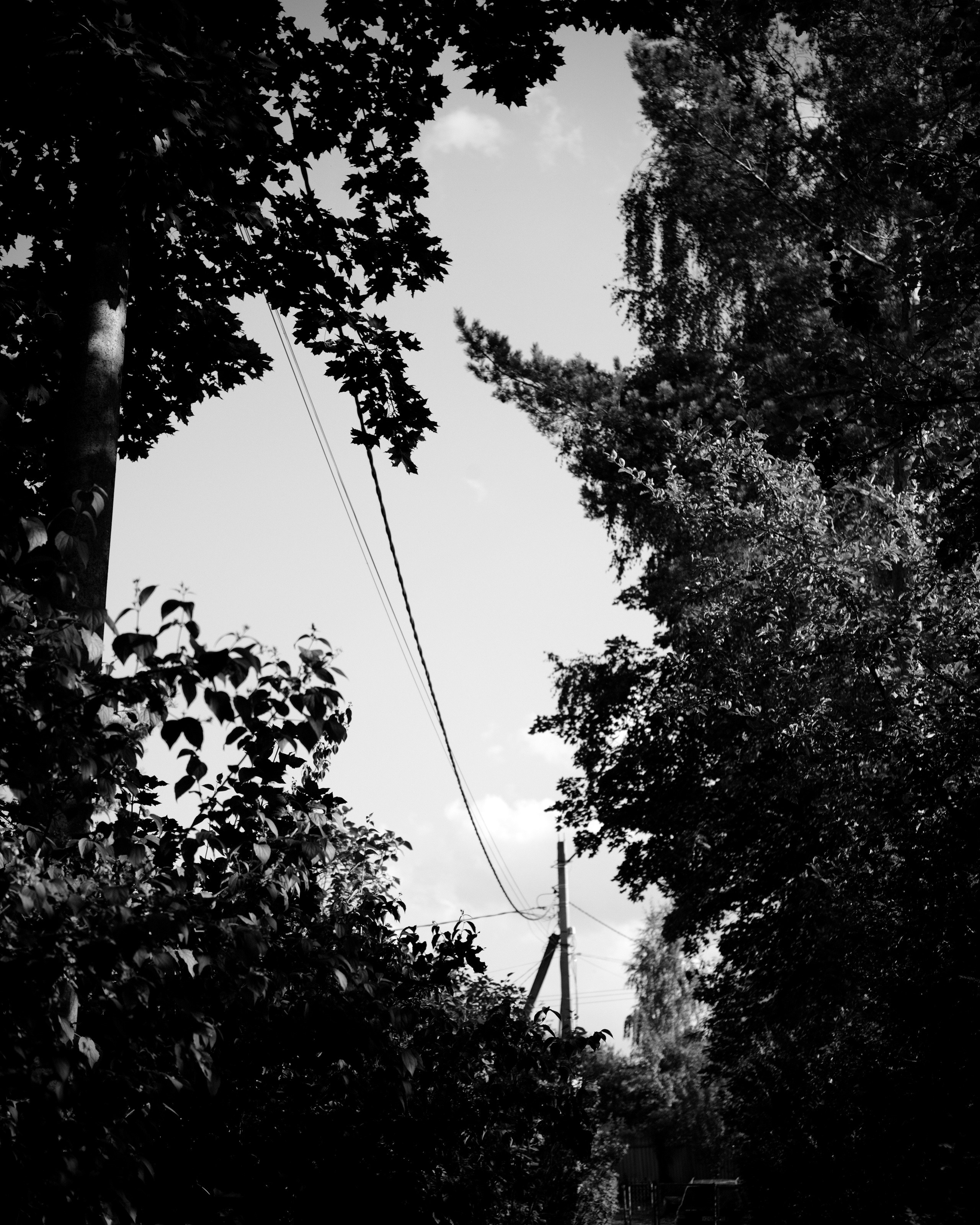 Природа. Фотограф Маргана Лоция