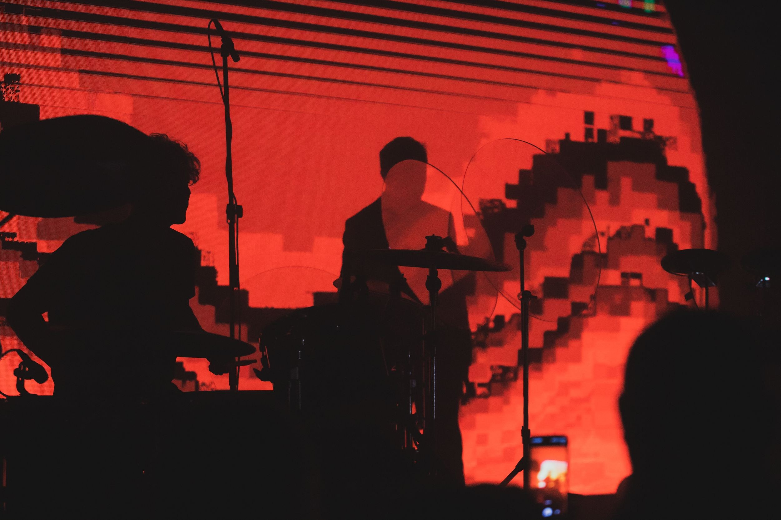 Дельфин. Репортажный фотограф Алексей Пирязев