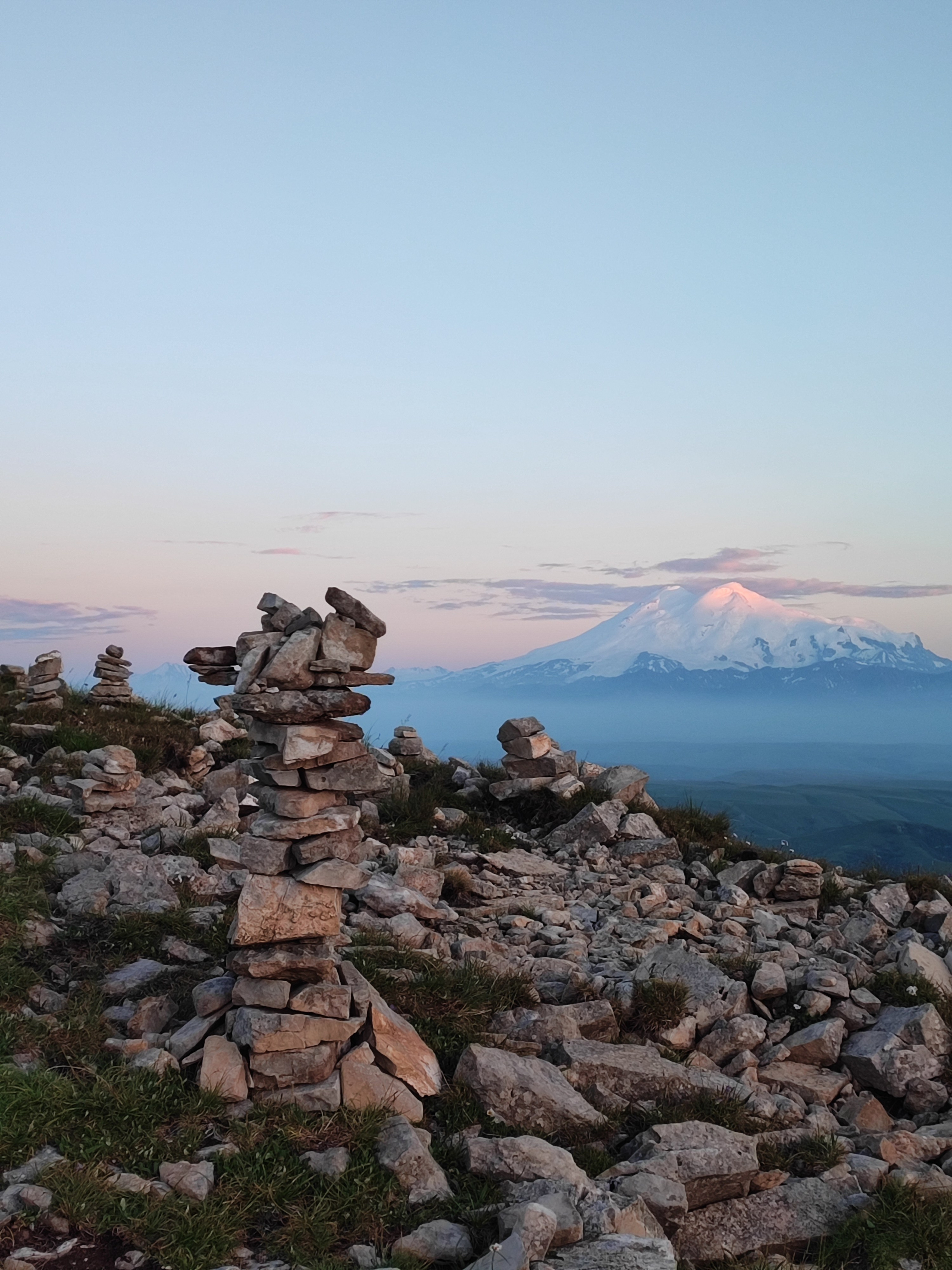 Намобилкус кавказский. Репортажный фотограф Алексей Пирязев
