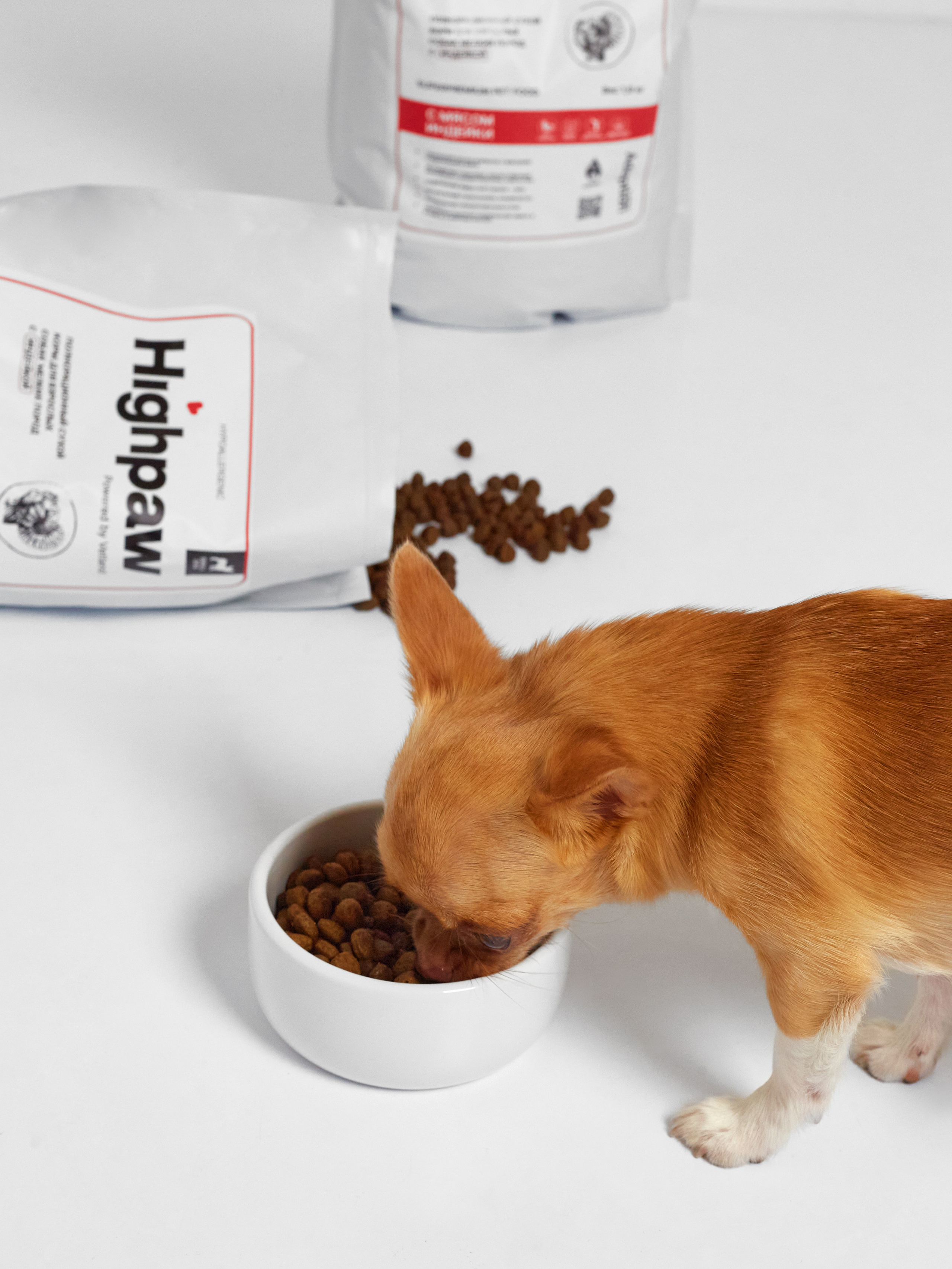 HighPaw. Креативный продюсер Дарья Зорина