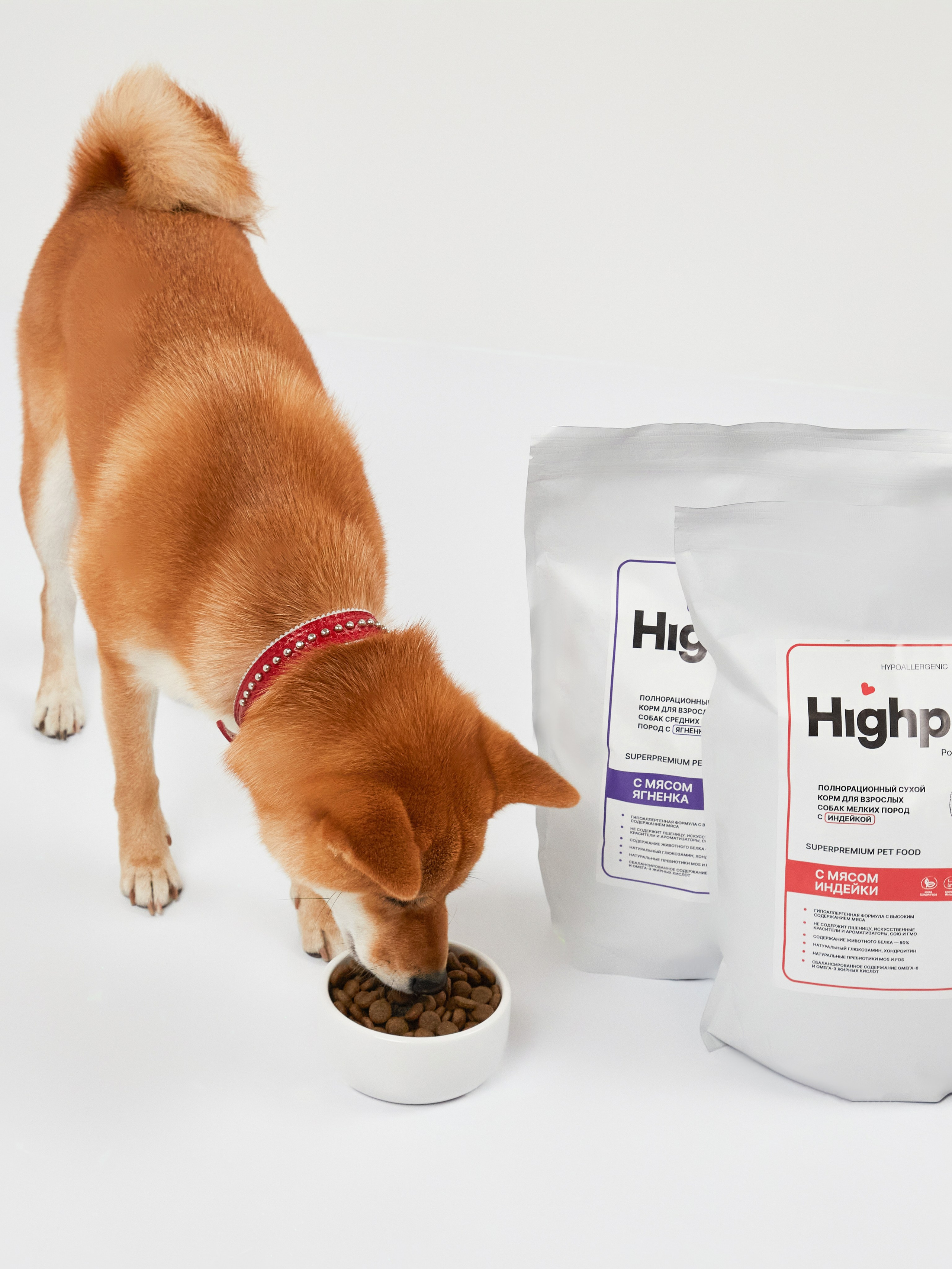 HighPaw. Креативный продюсер Дарья Зорина