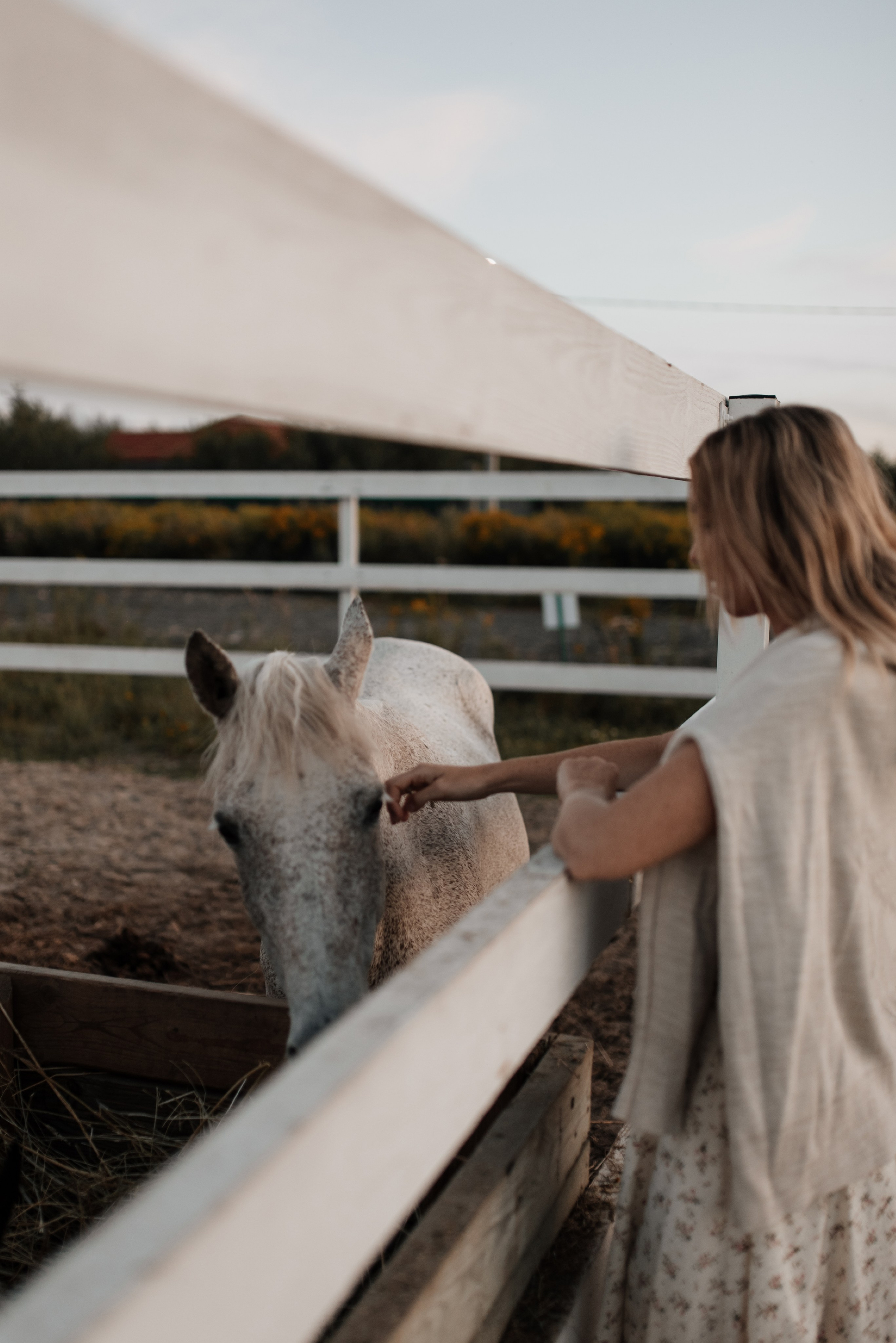 Катя Ипподром. Фотограф Ольга Плеханова | Нижний Новгород, Москва
