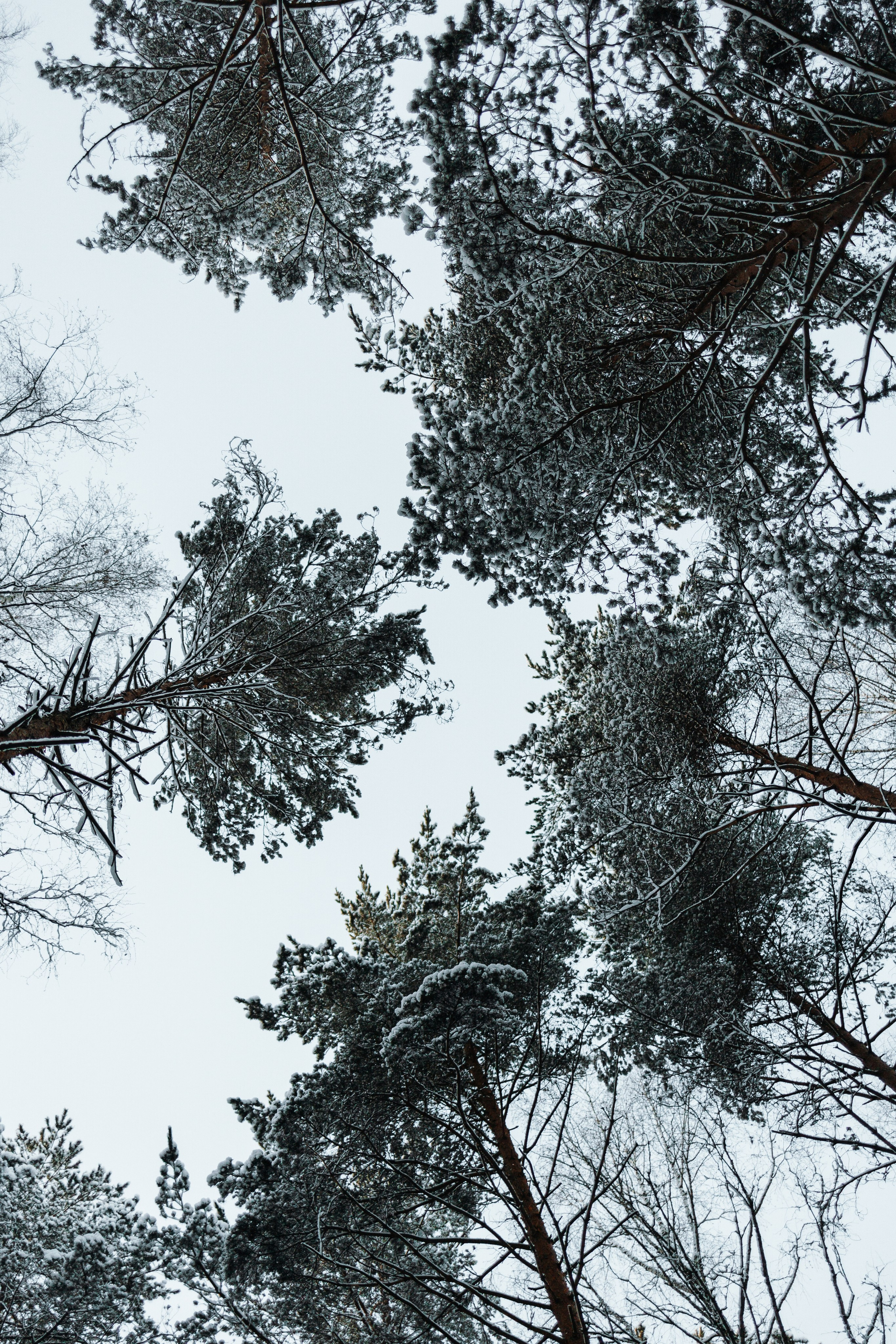 Ребята и их хвостатая семейка. Фотограф — Анималист | Санкт-Петербург