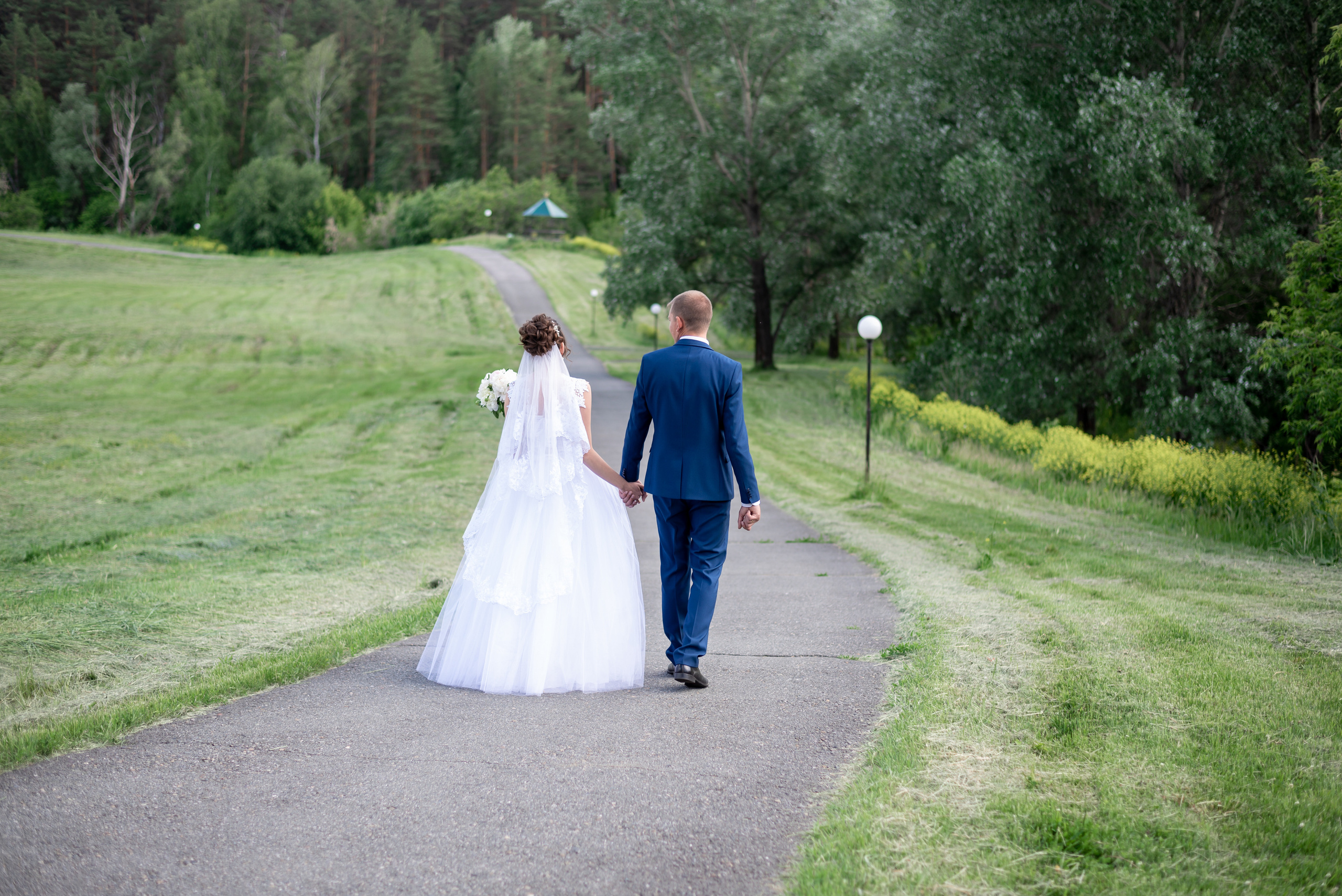 Анастасия+Александр. Вероника Дмитриева Фотограф Барнаул
