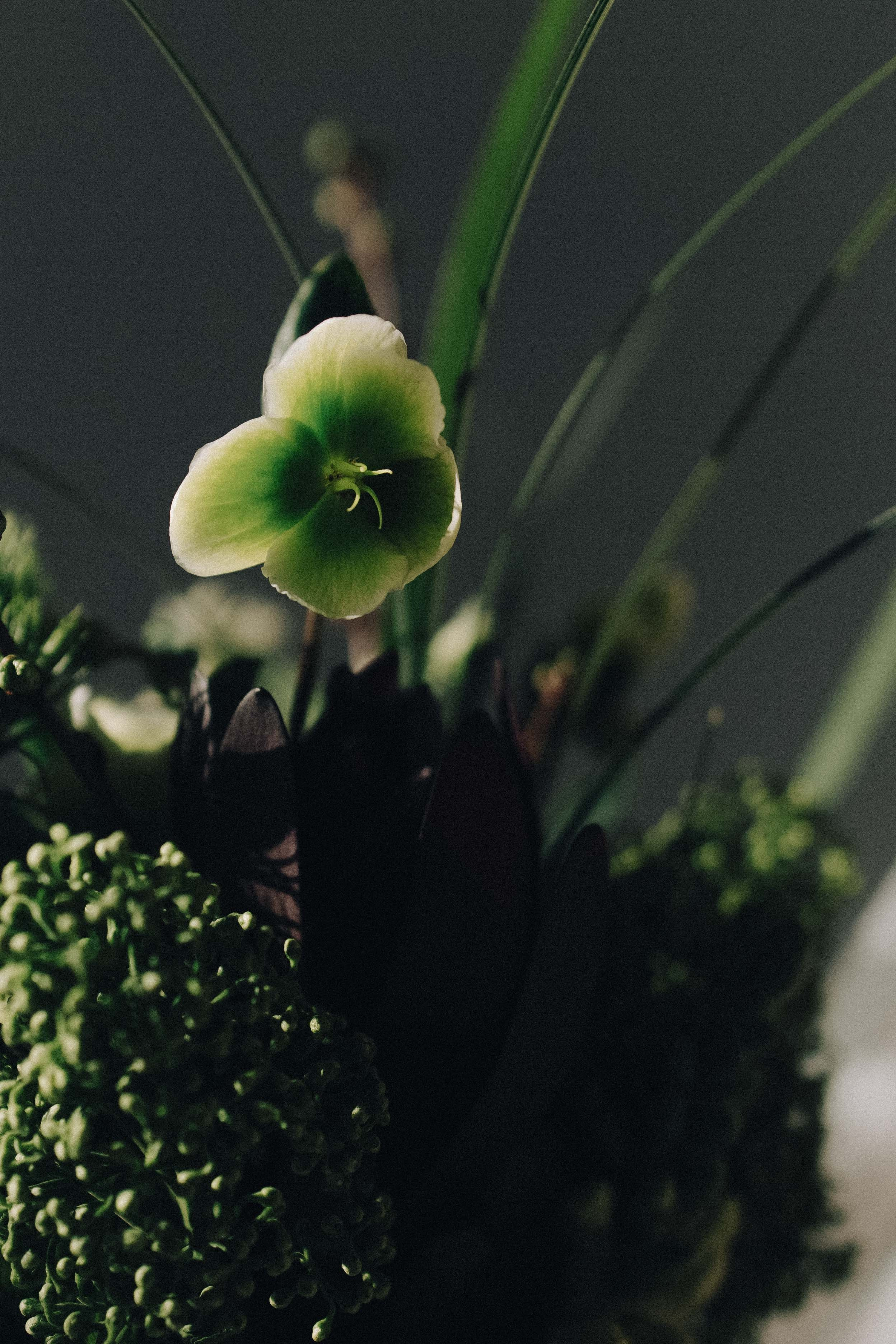 Фотограф Кост Анастасия