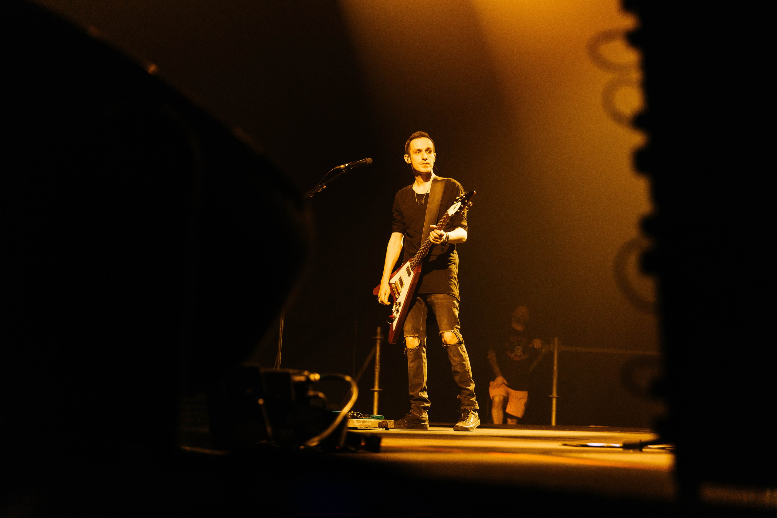 Звери. _Carpe diem_