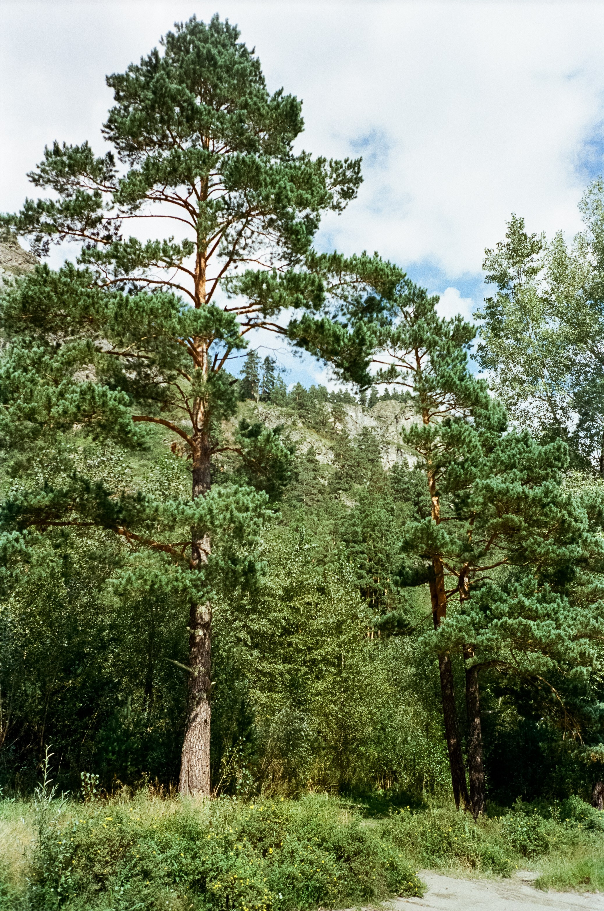 Река Куюм и Благодать. Катунь на Айском тракте. Фотограф-документалист Мария Осокина