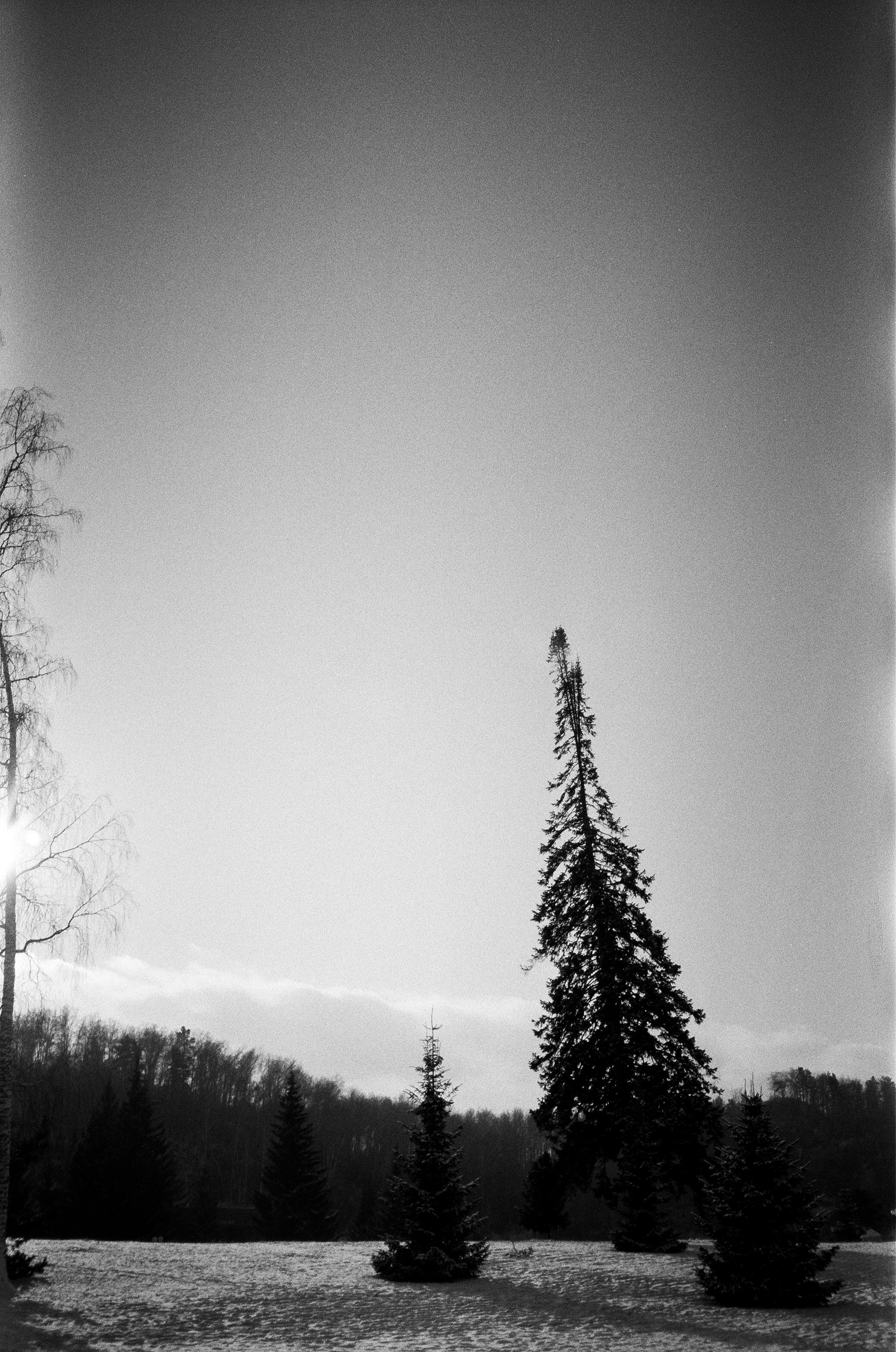 Окрестности горы Чертов палец и озеро Ая. Фотограф-документалист Мария Осокина