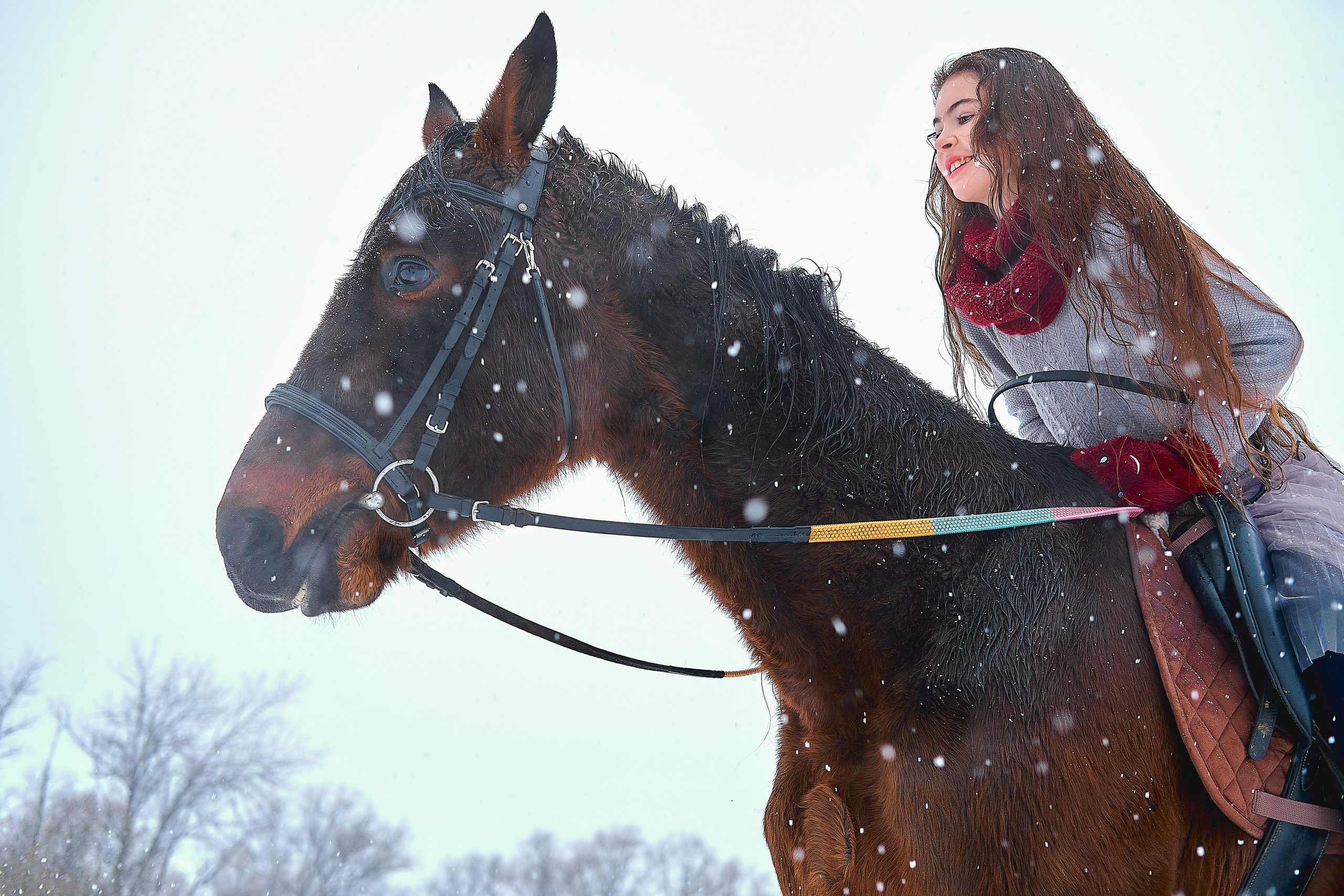 С лошадьми. Семейный и портретный фотограф в Новомосковске и Узловой Михеева Татьяна