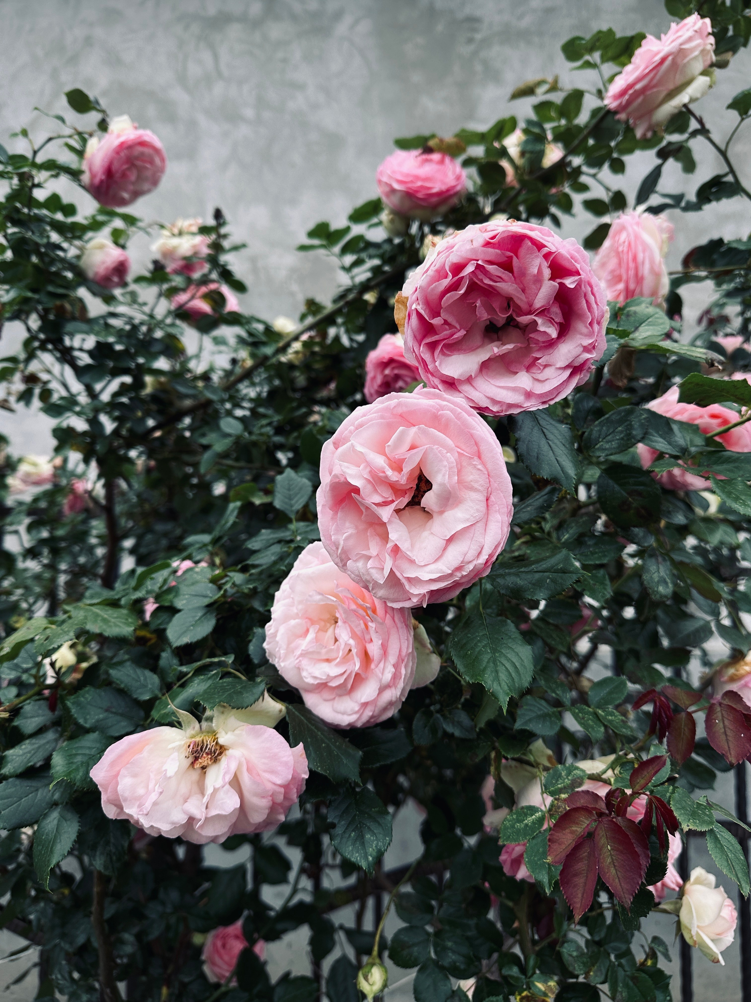 Флора и фауна. Смотри, красота!