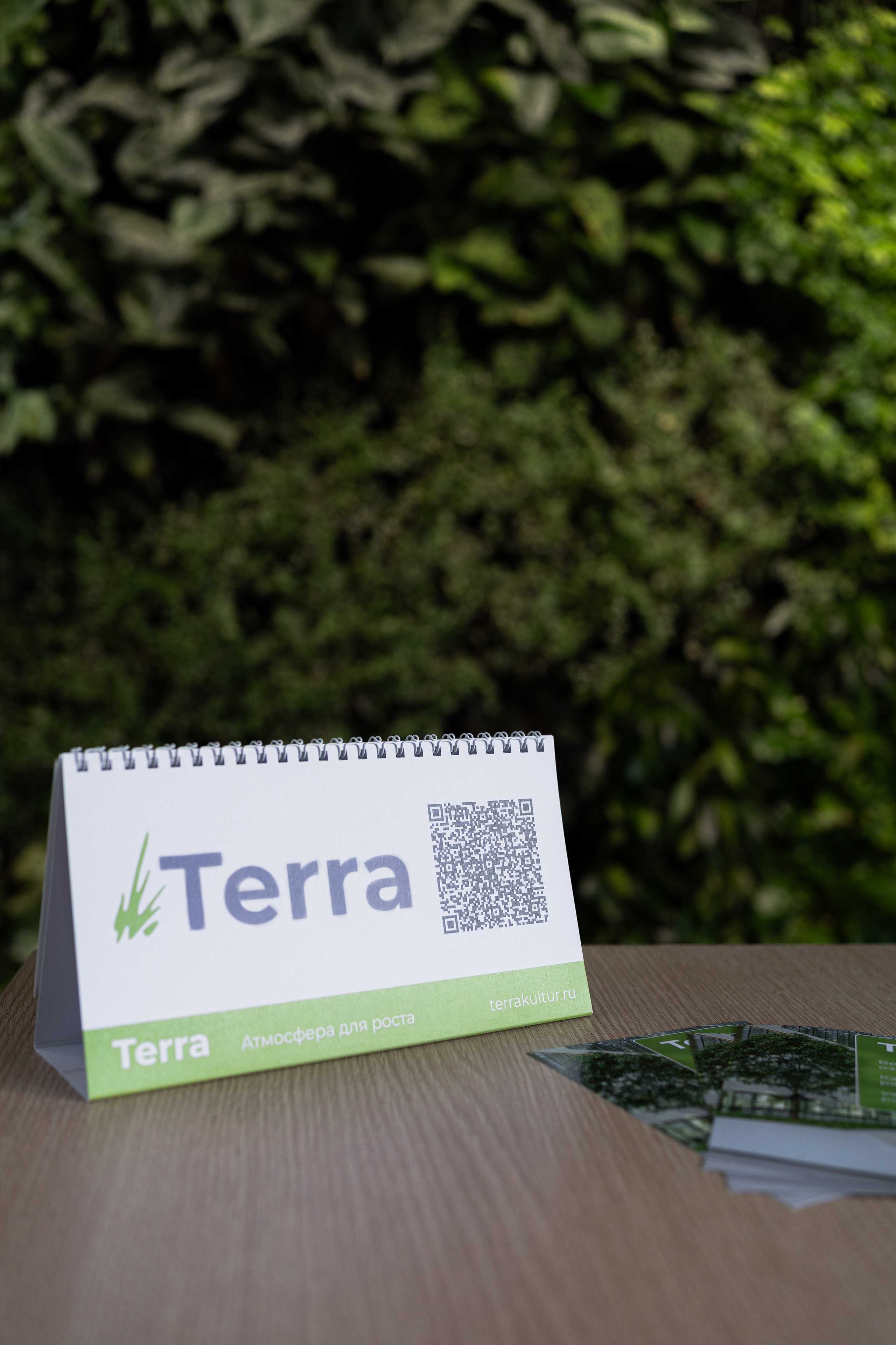 Terra. Елена Пашкевич, фотограф, Москва