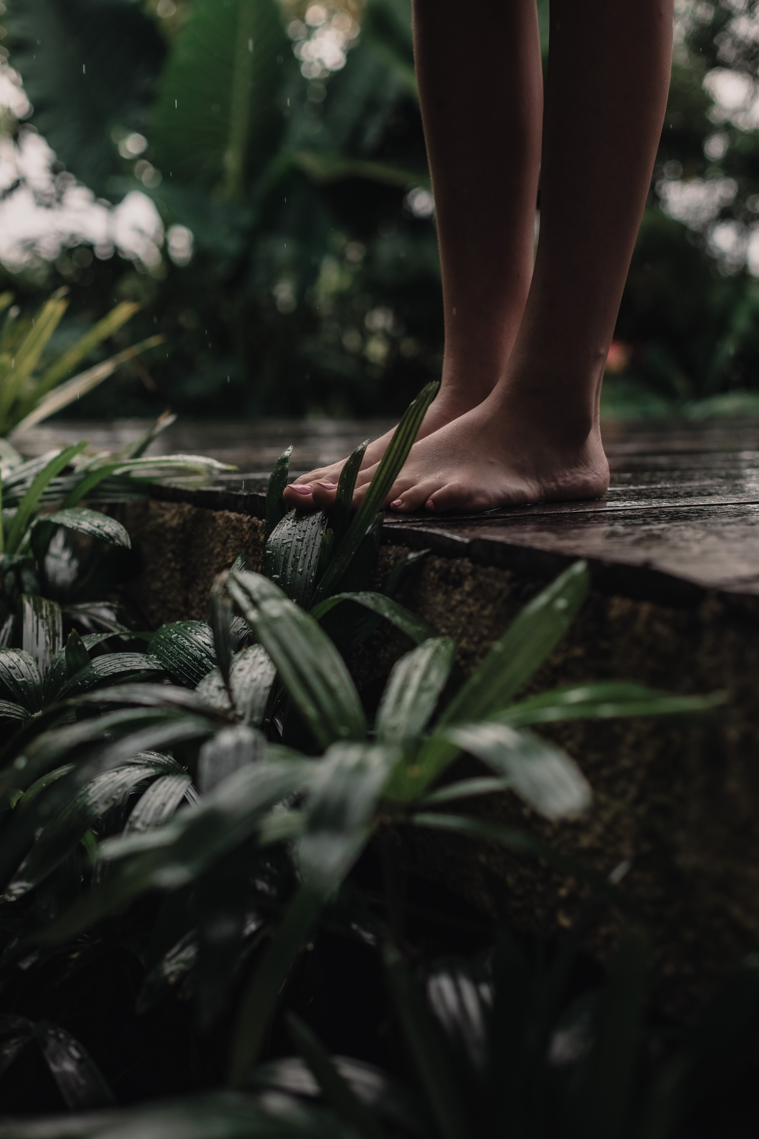 Little Ella. Mariam Bagdasaryan