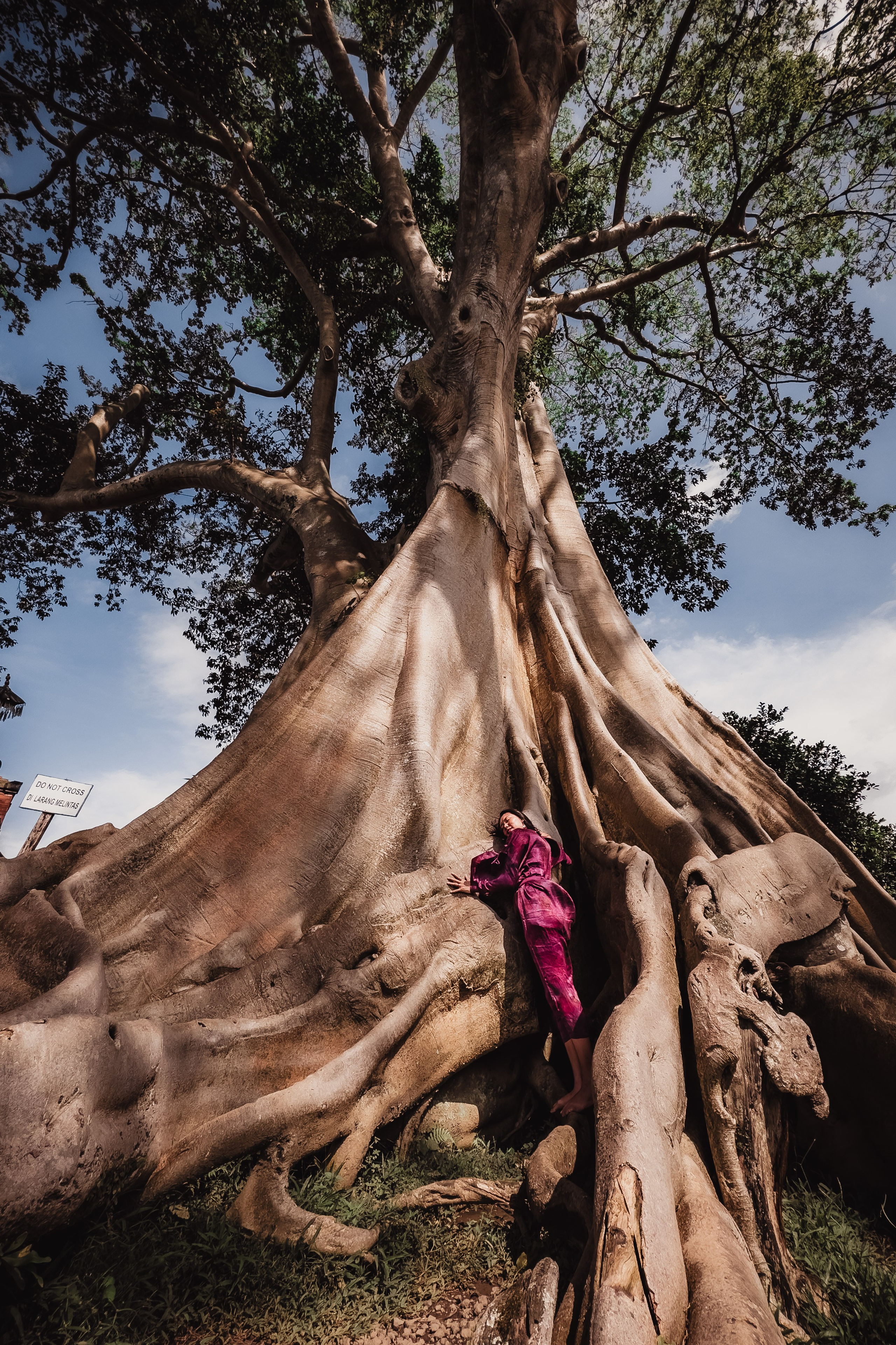 Banyan date. Mariam Bagdasaryan