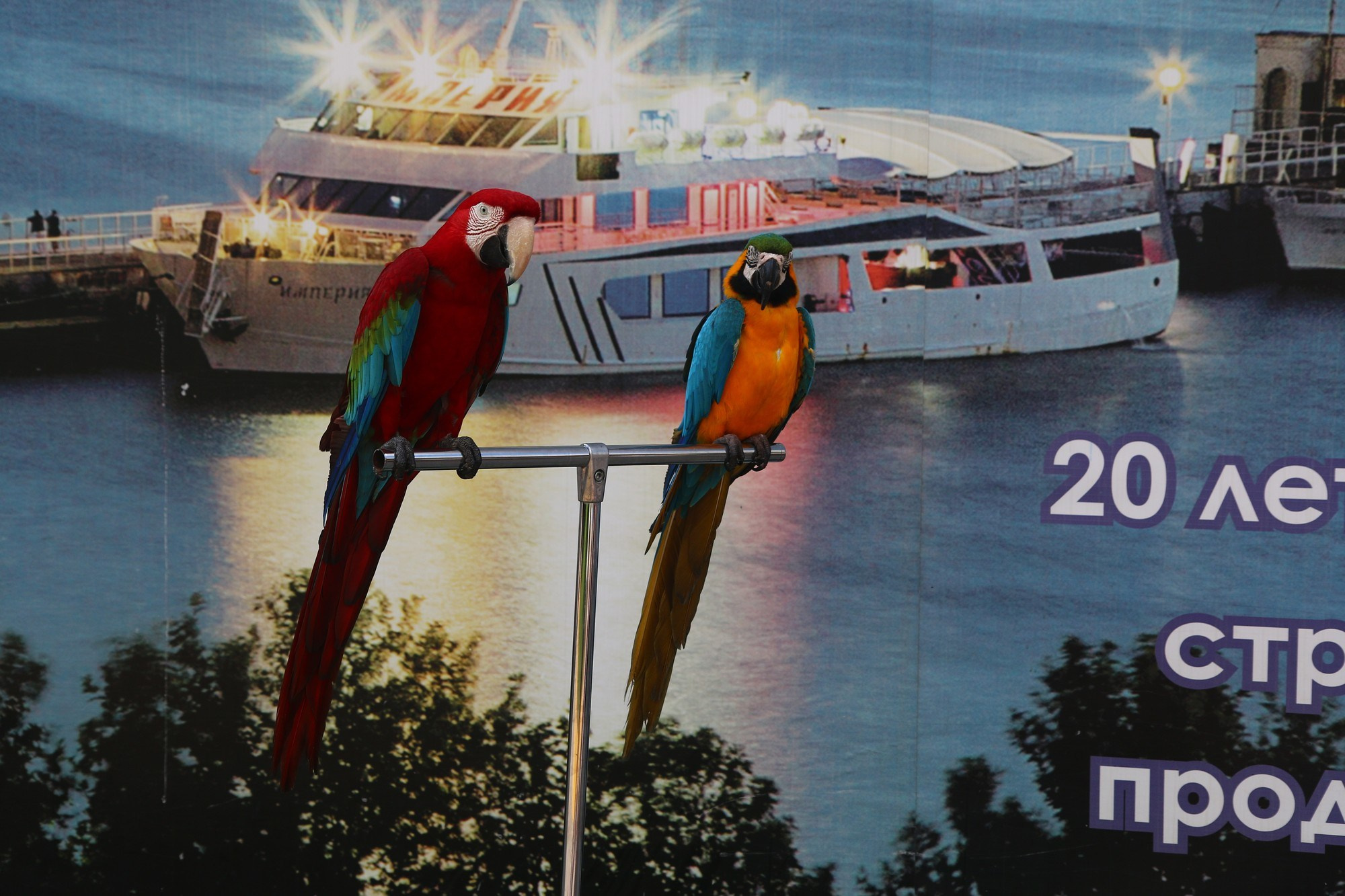 Геленджик 2016 г. Улица, люди, жизнь…