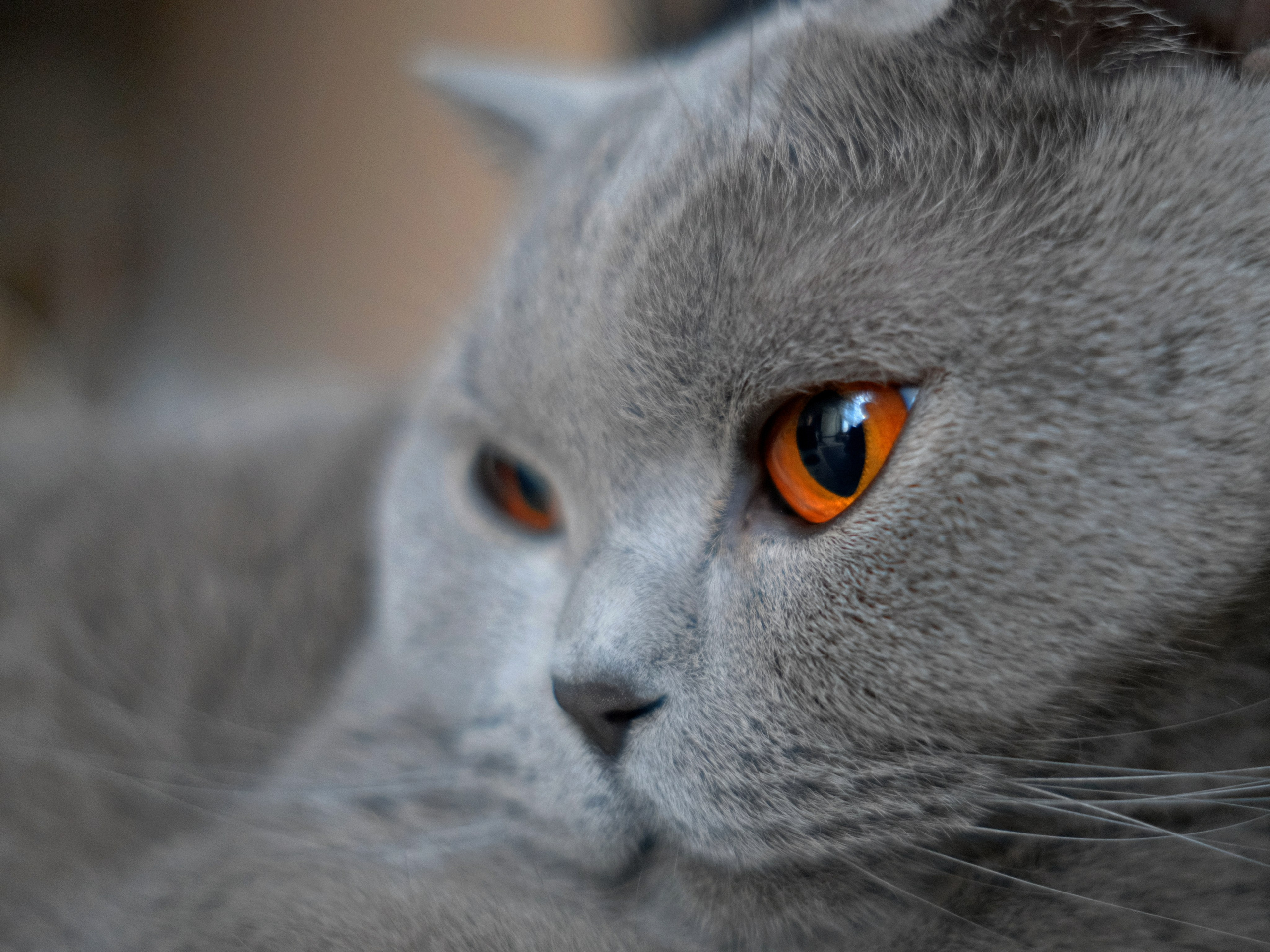 Улица, люди, жизнь…