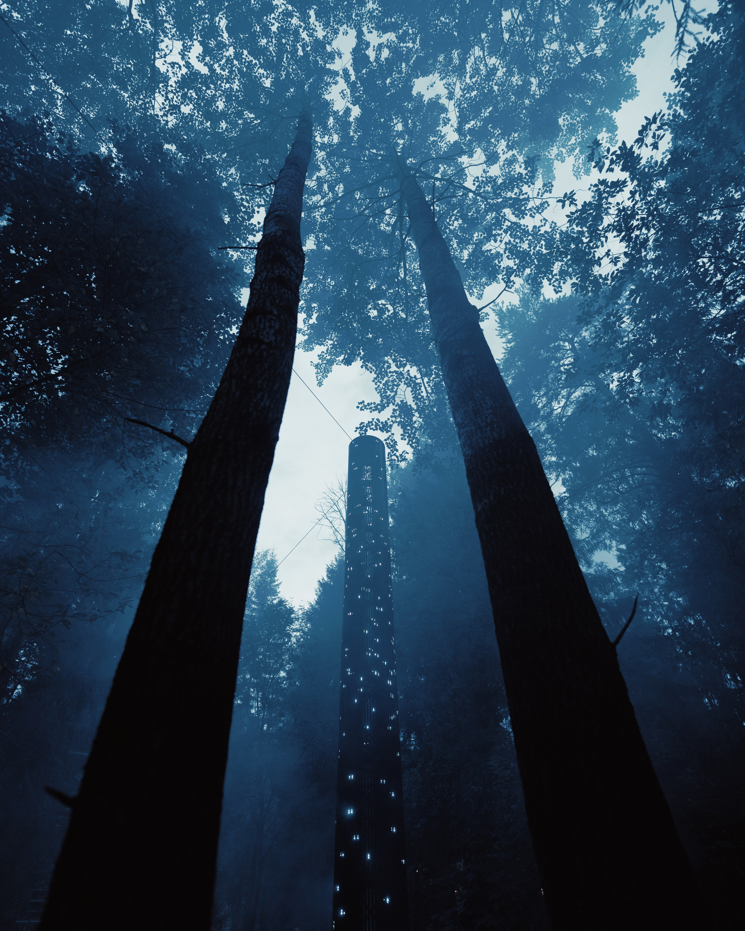 Outline 2024. @tomrus: Рустам Шагиморданов — фотограф