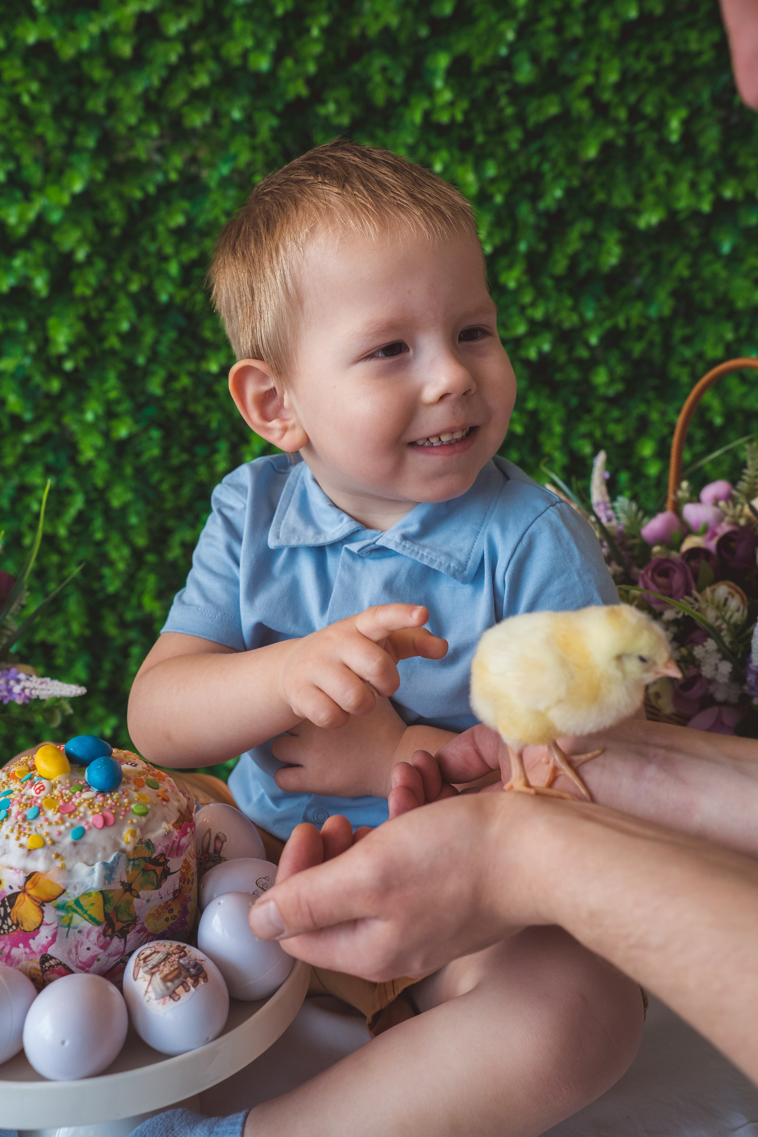 Пасхальный фотодень с цыплятами и кроликами. Фотограф Маргарита Слободянина в Хабаровске