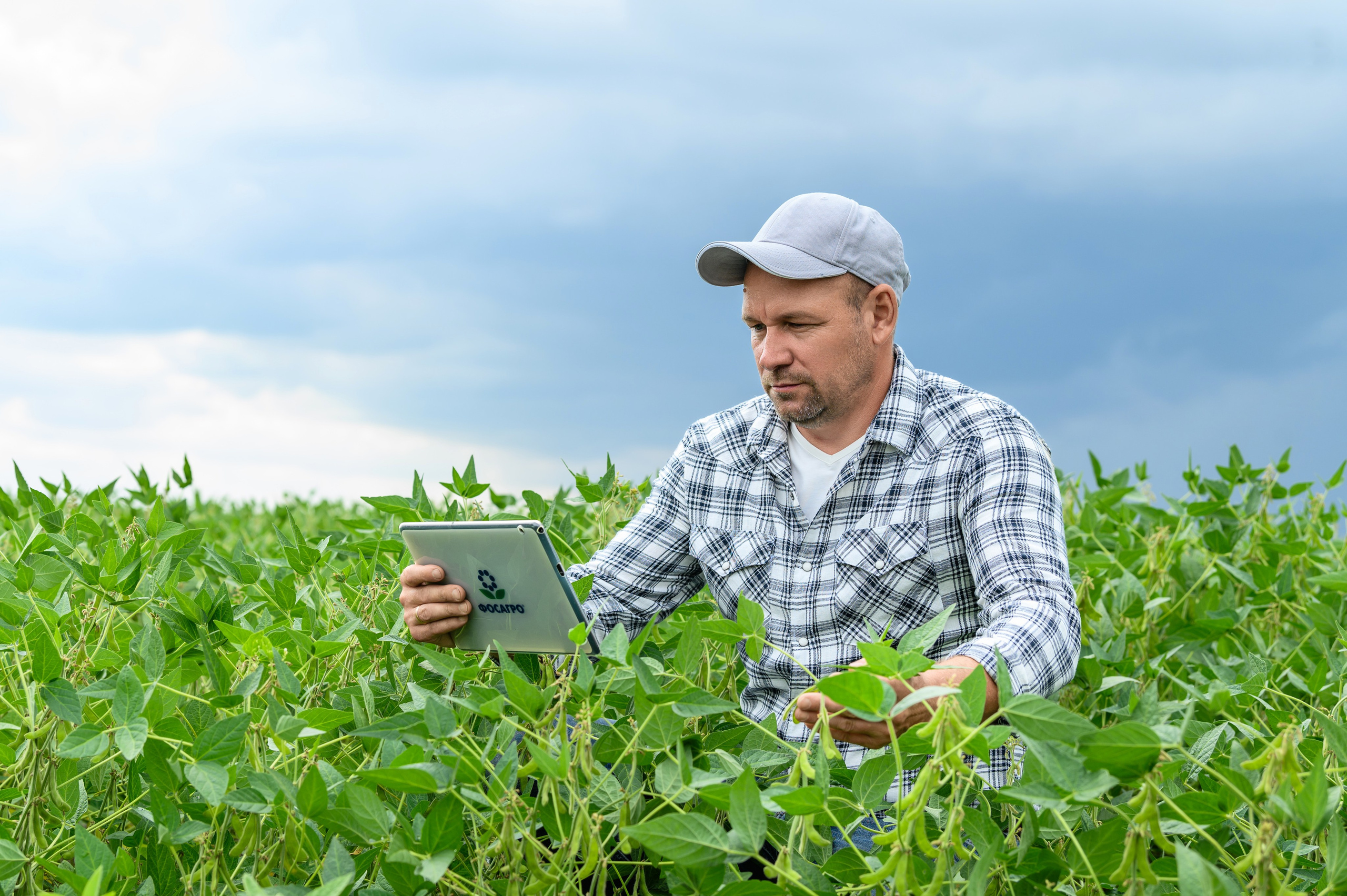 Проекты. Профессиональный фотограф Вячеслав Плацында | Липецк |