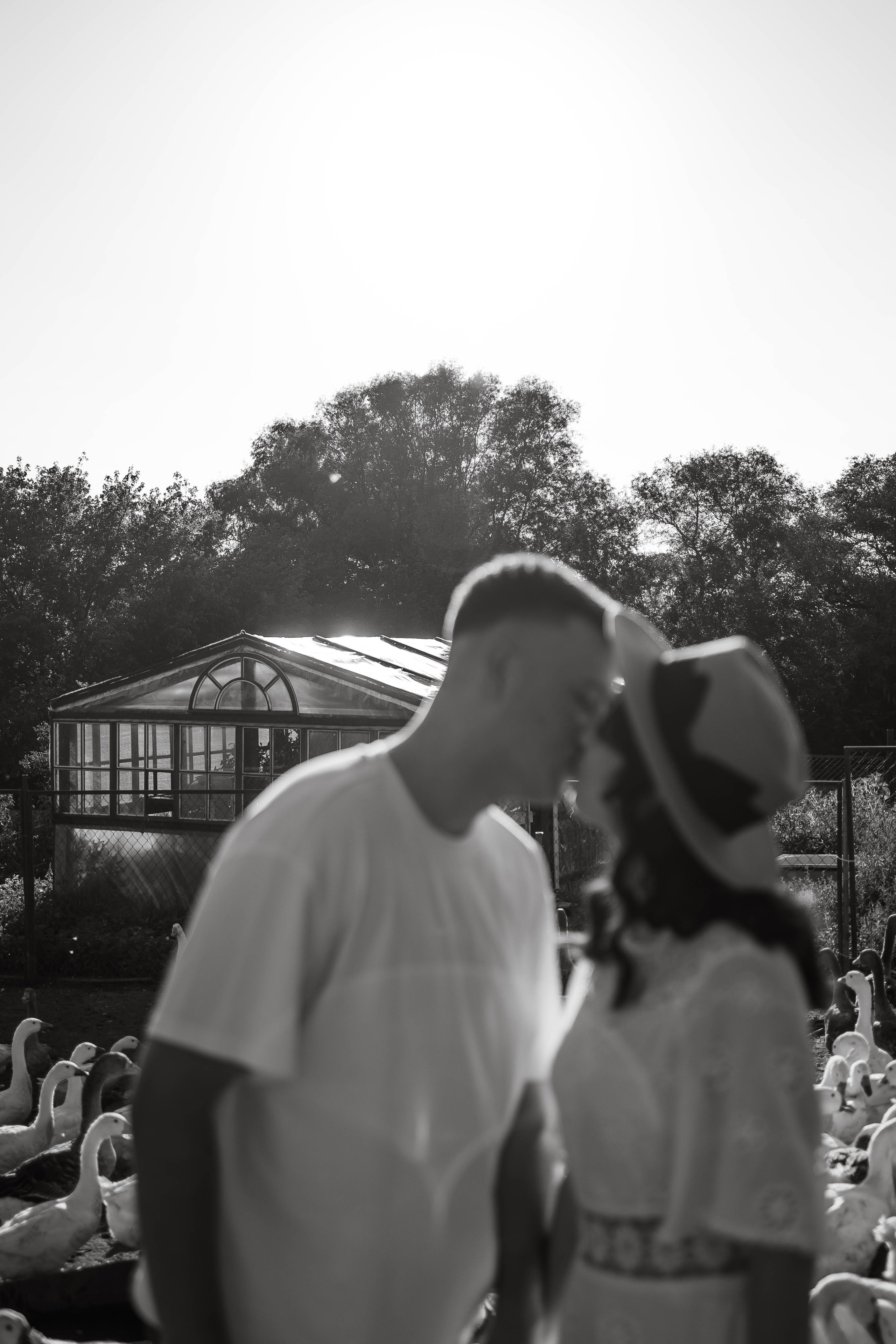 Любовь и лимоны. Свадебный и семейный фотограф