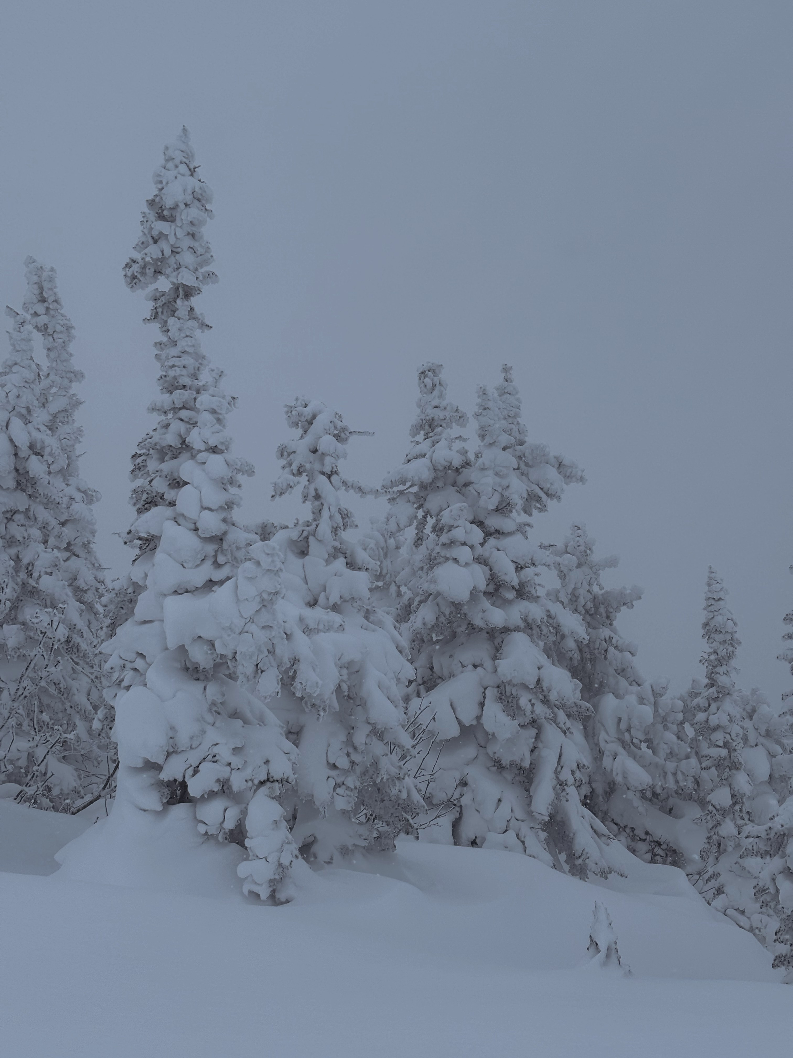 Фото с тура в Шерегеш — Время Приключений