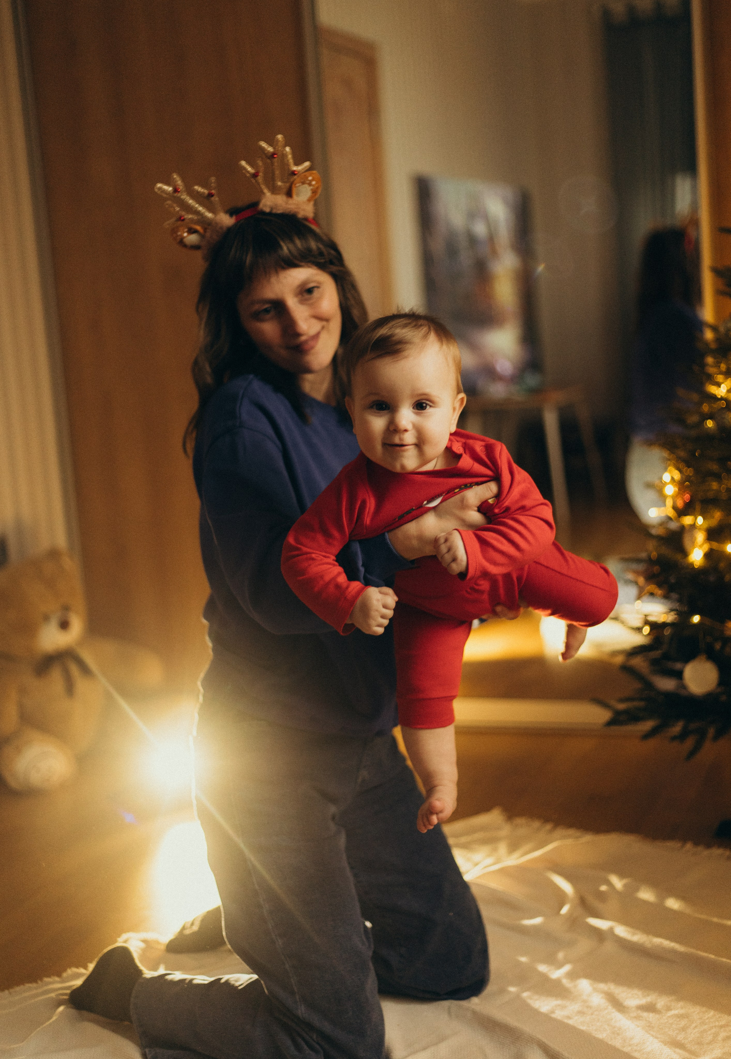 Домашняя история. Meryfotoidea