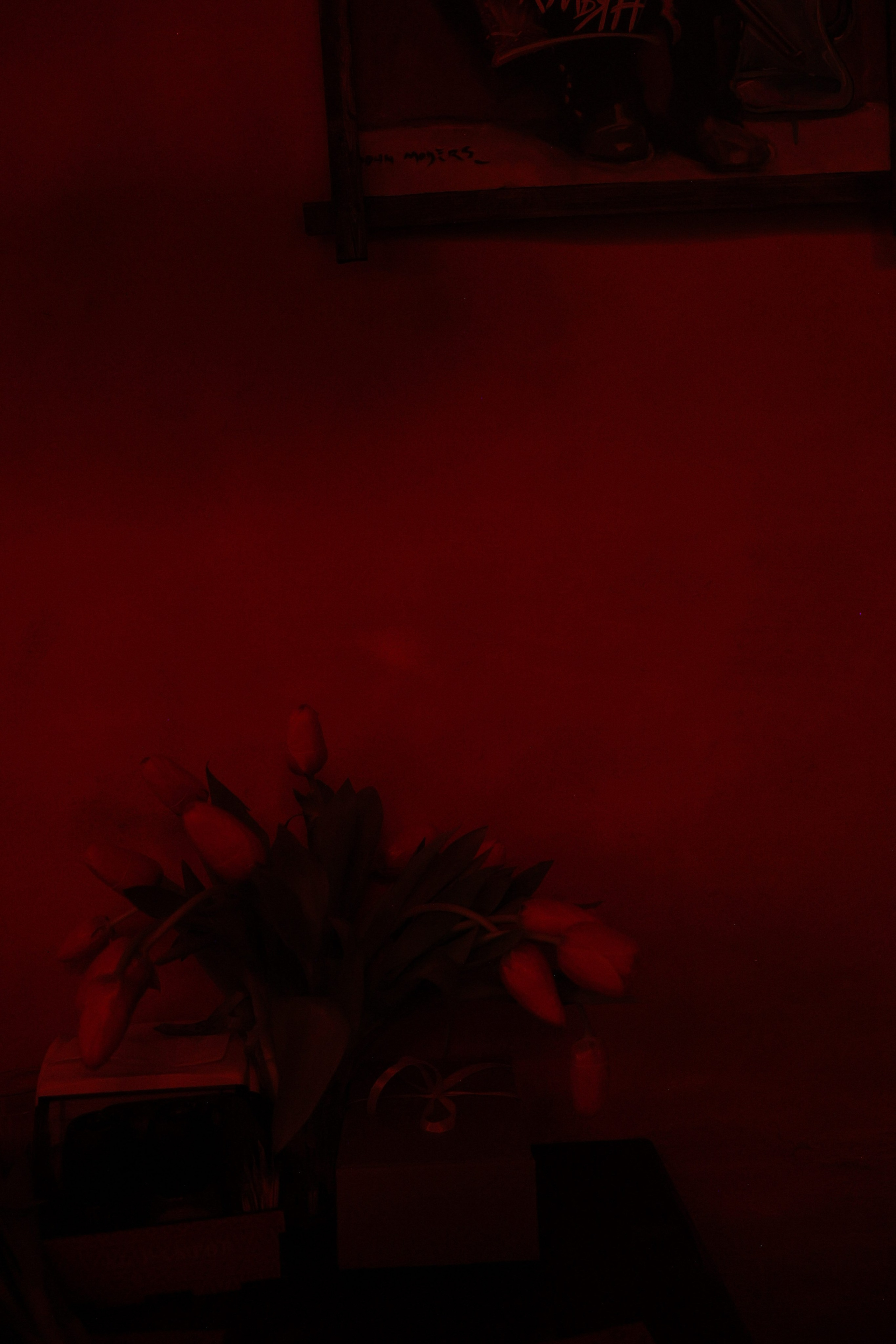 El Pastor. Свадебный фотограф в Крыму