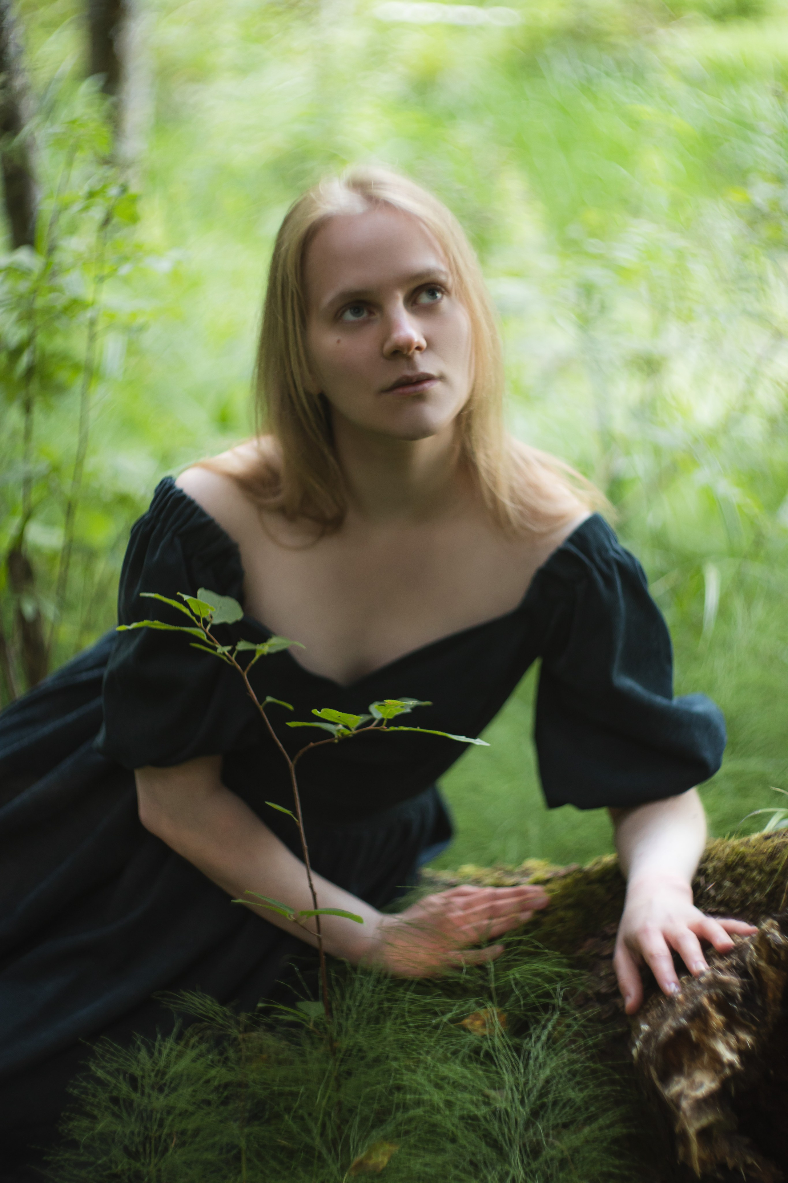 Рассветная в лесу. Юлия Башкатова, сказочный фотограф, Москва