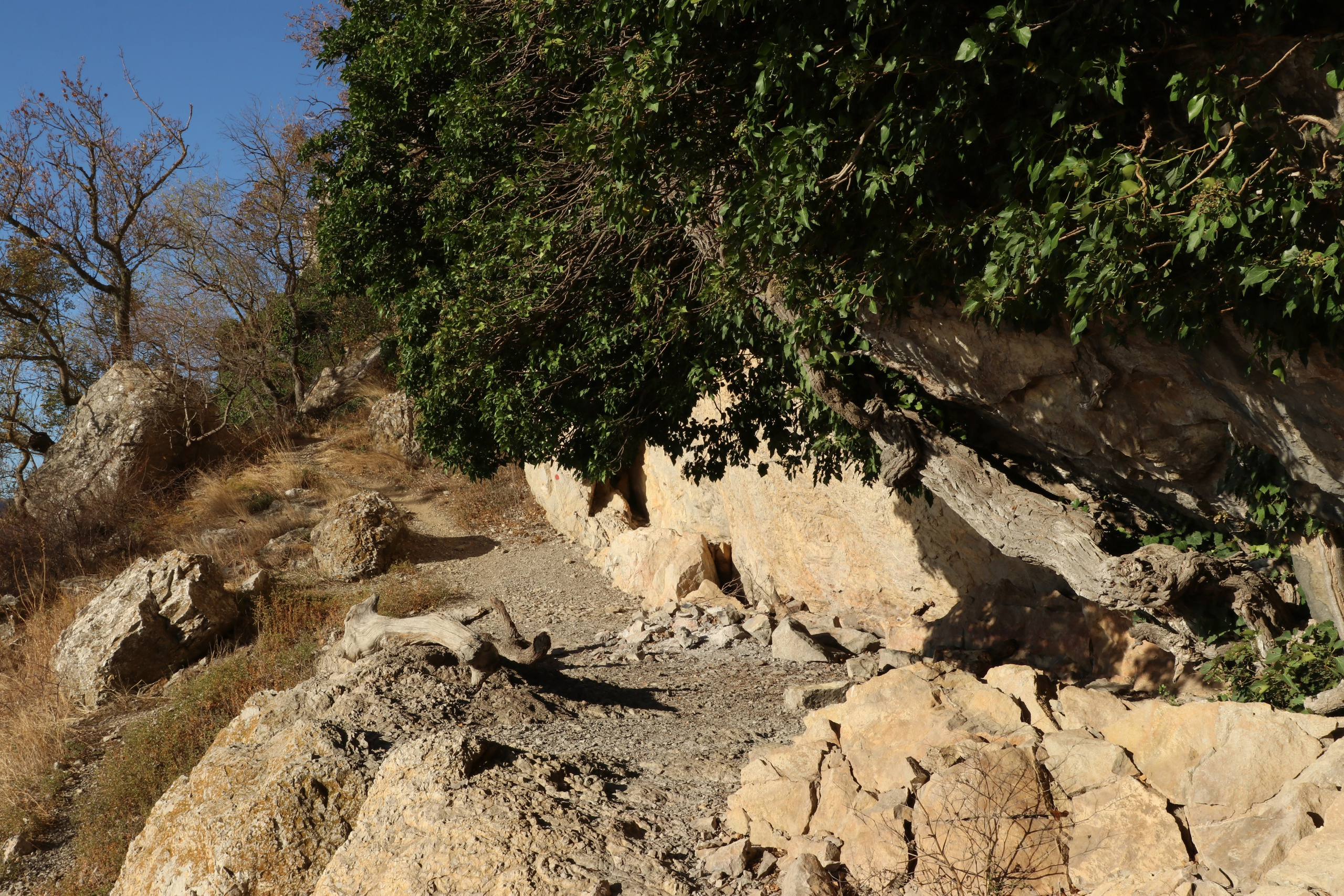 Крым. ЮБК (Гурзуф, Судак и их окрестности). Ноябрь 2023. Путешественник-фотограф из Санкт-Петербурга Татьяна Свистулина