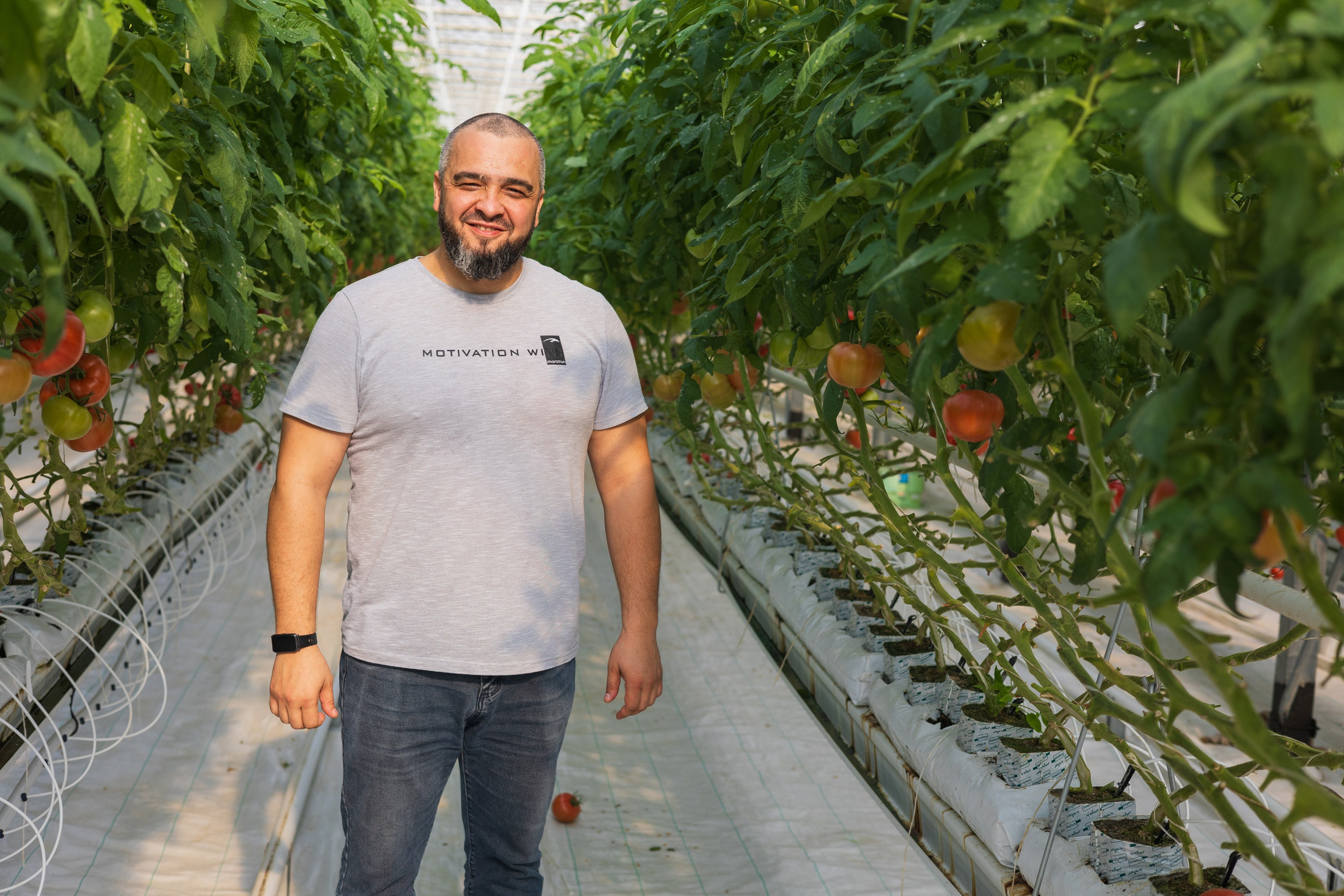 БИОЭНЕРГИЯ — Производство субстрата для теплиц, маты для выращивания