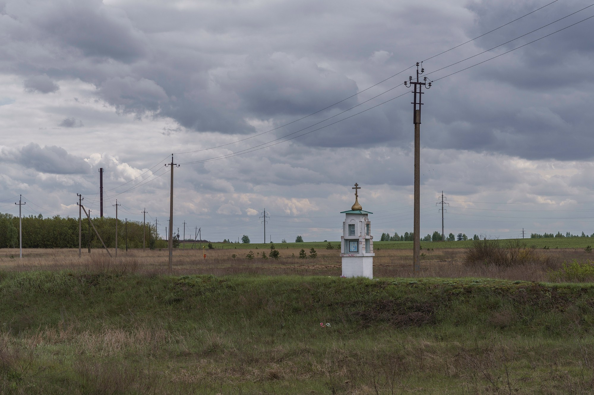 Interregnum. Вита Строганова