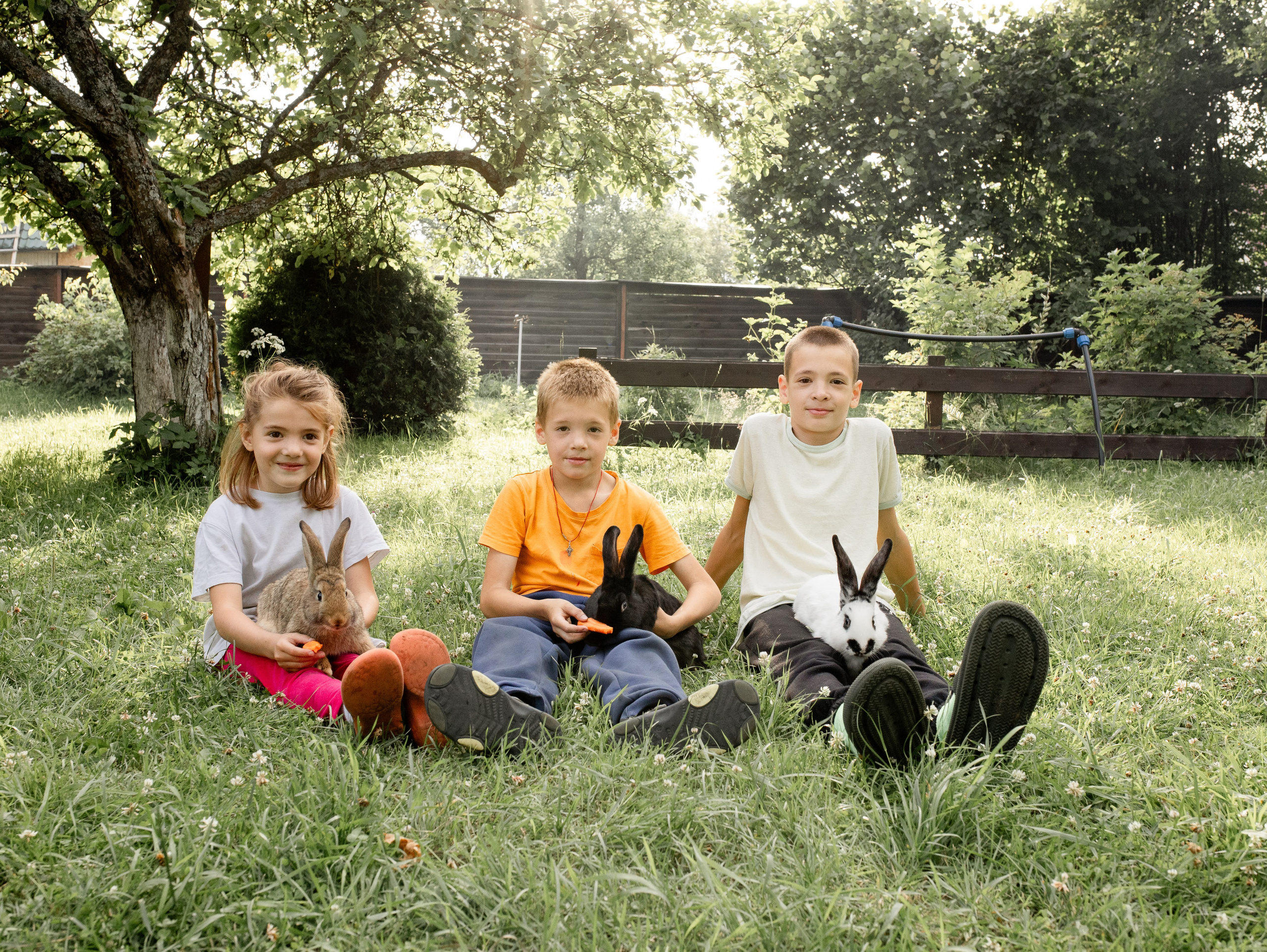 Кролики 2023. Семейный фотограф в Санкт-Петербурге Ирина Иванова