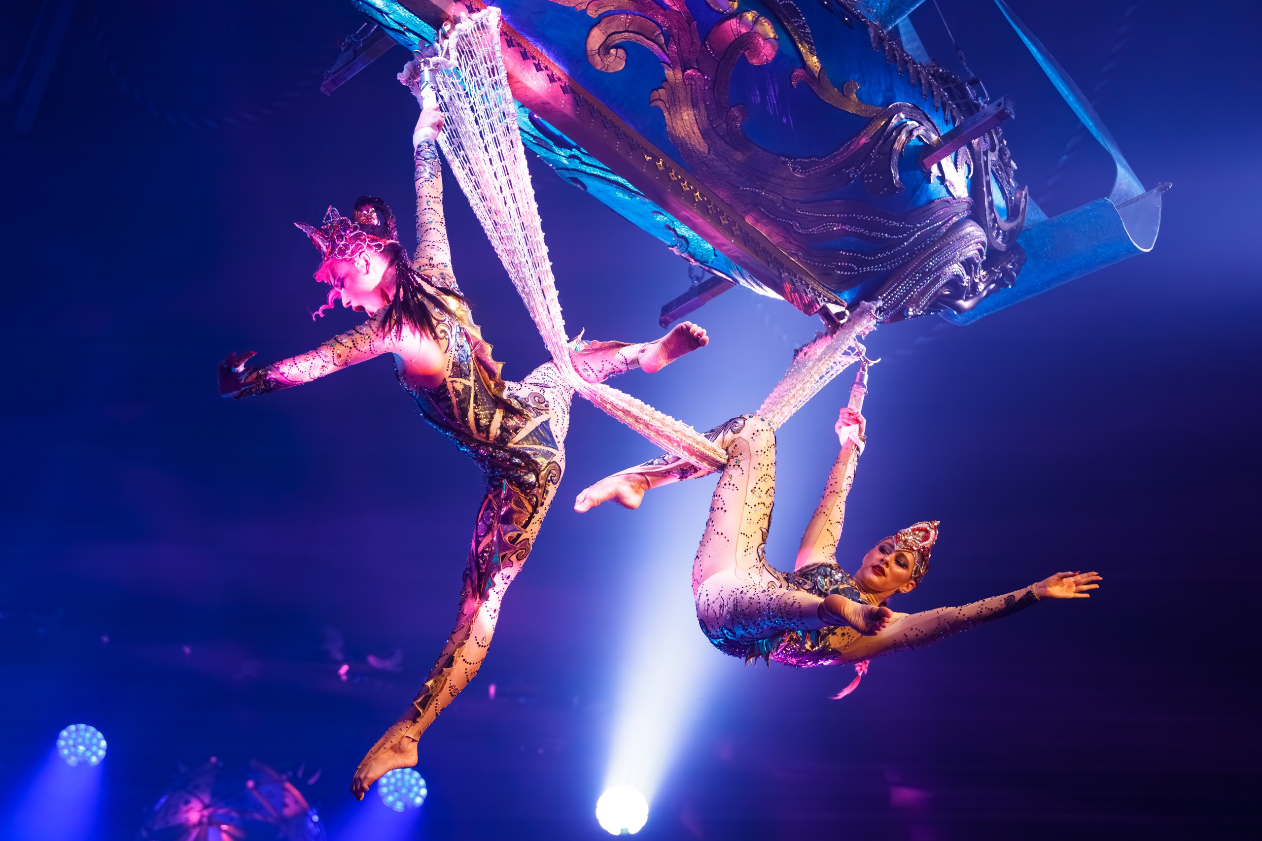 Сочинский росгорцирк Шоу Гии Эрадзе цирк. Профессиональный фотограф в Сочи Виктория Джой. Обучение