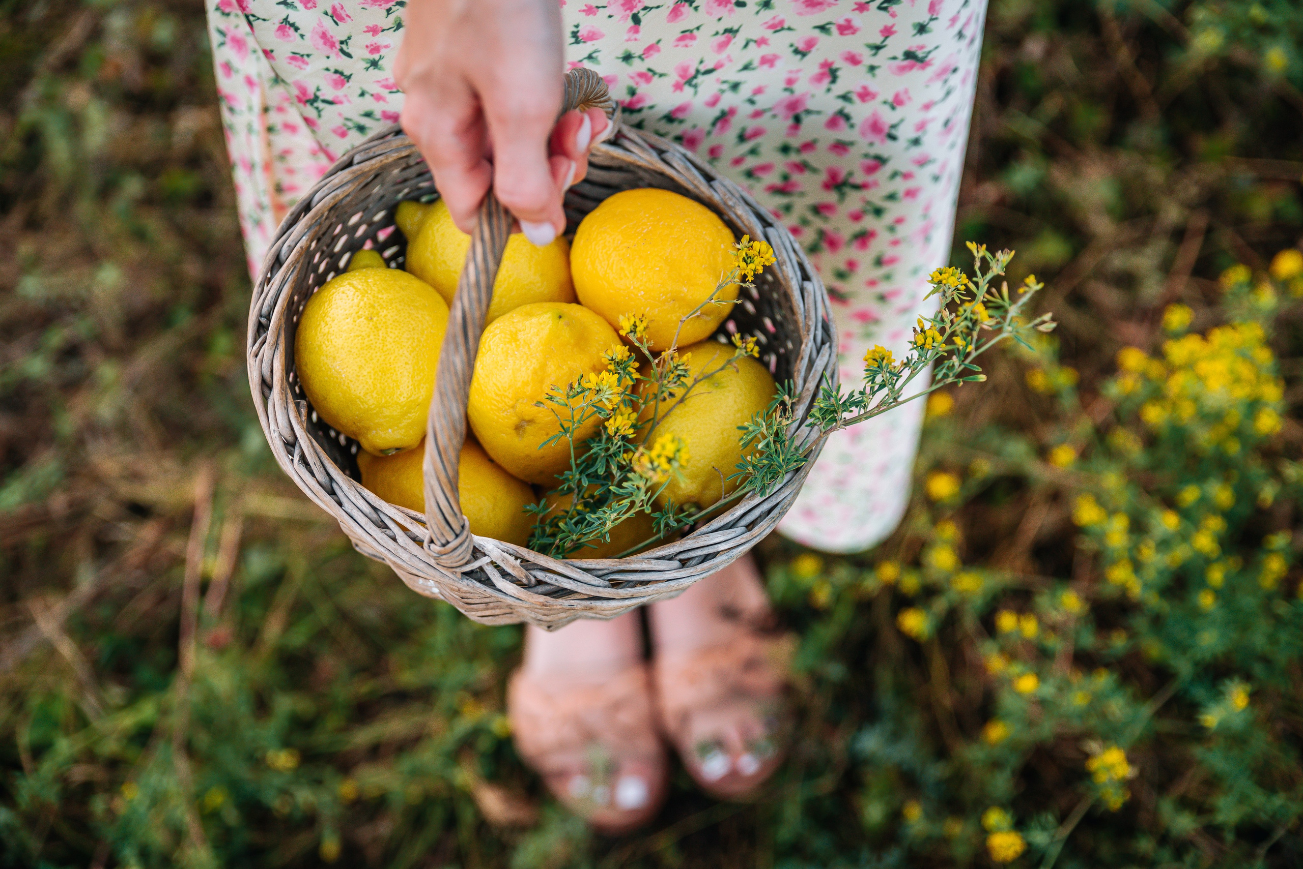Летний Пикник. Главная