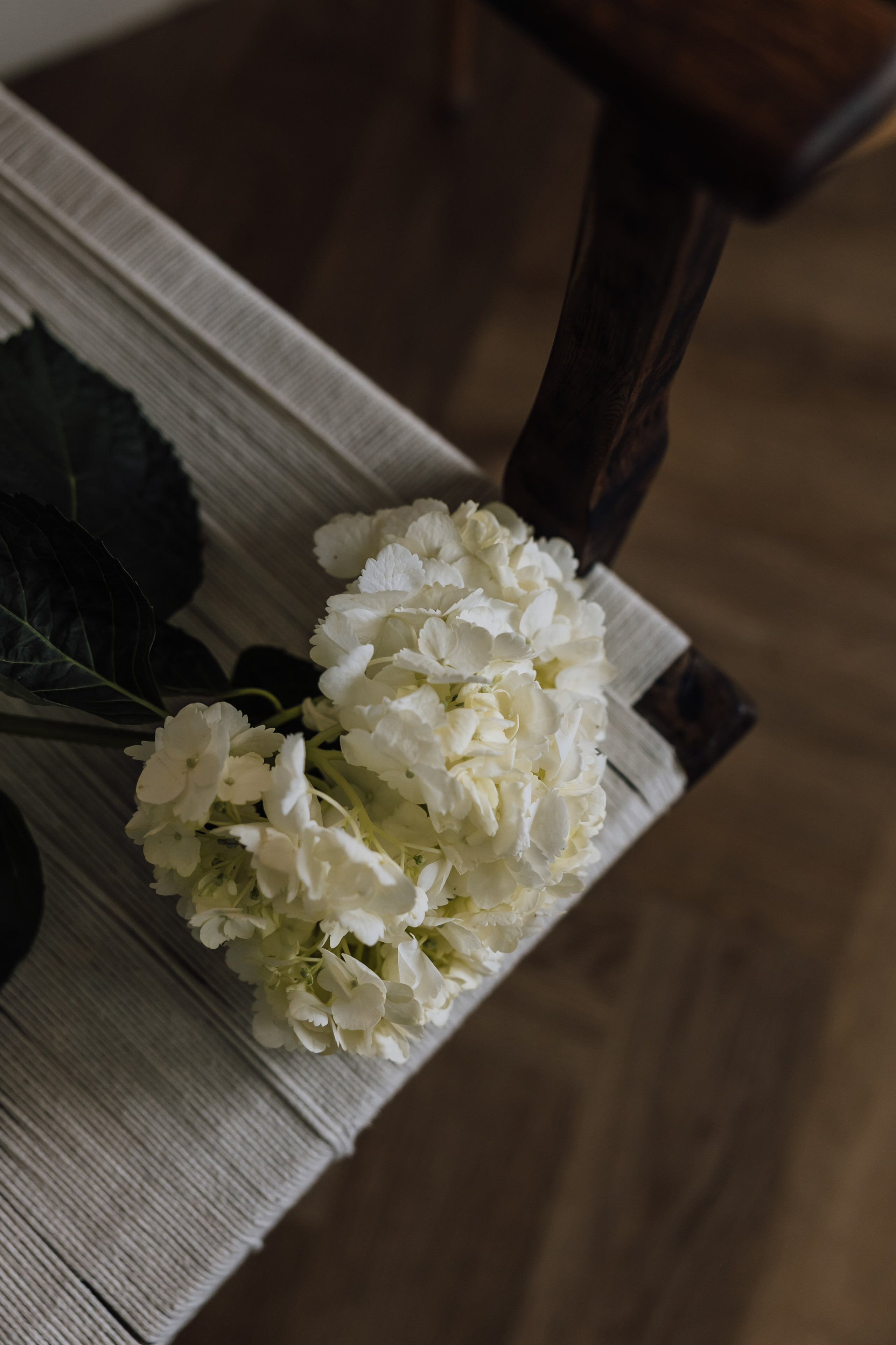 П. Фотограф в Санкт-Петербурге Ольга Кулеш