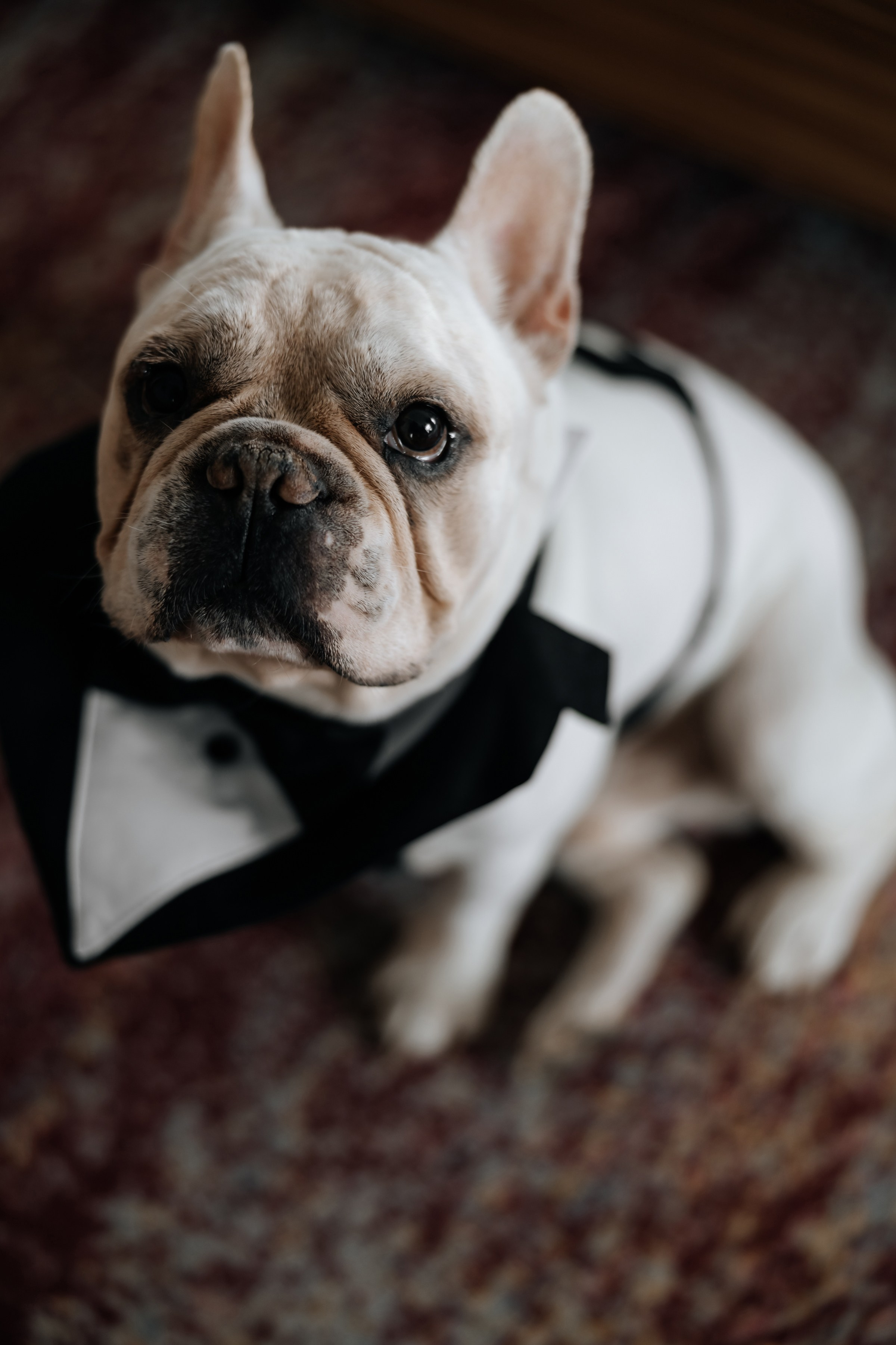 Максим и Саша. Свадебный фотограф в Москве Артём Кившарь