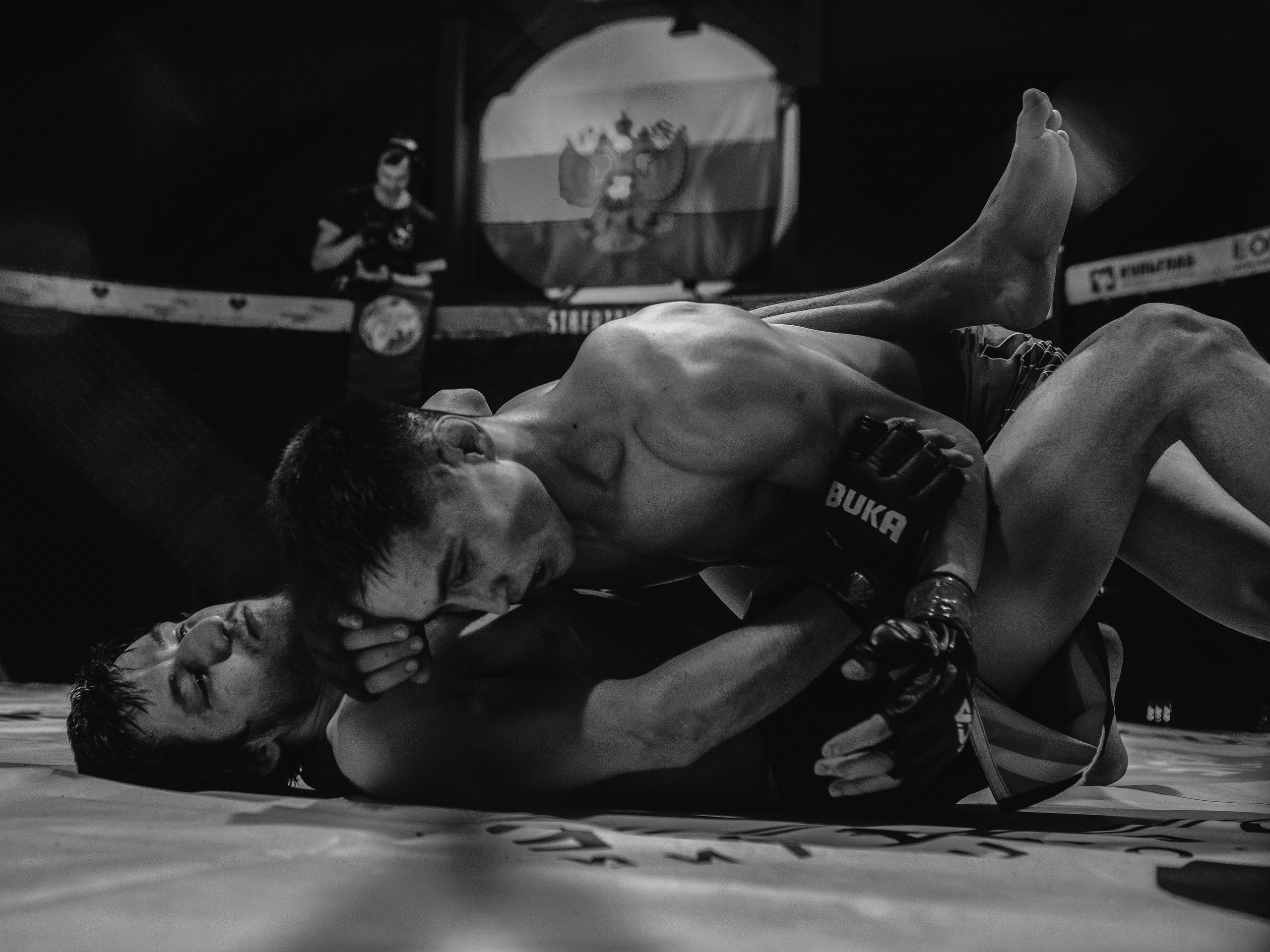 SFL 17 | Siberian Fighting League. Портретный фотограф в Москве Дарья Цезария