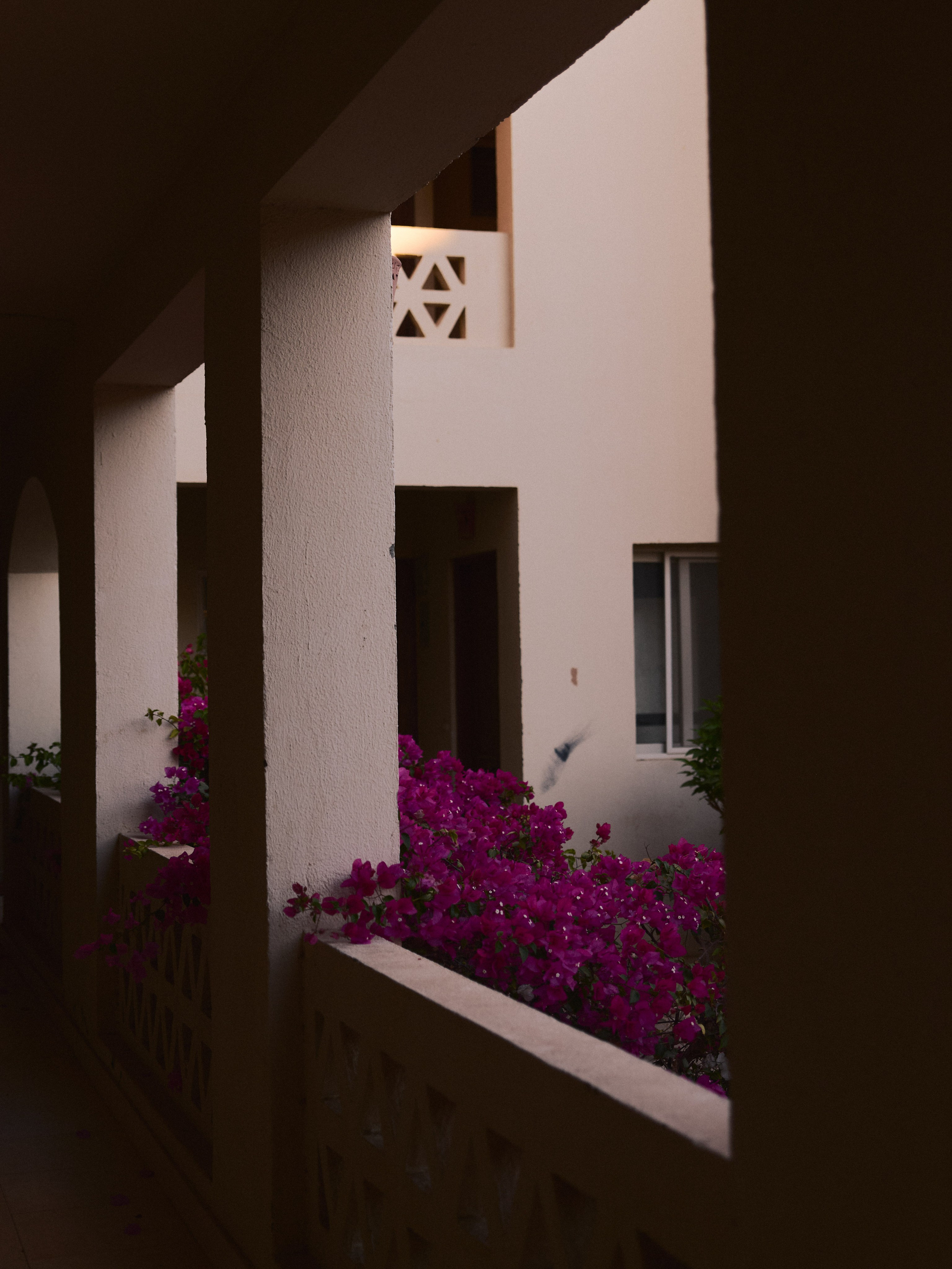 Природа сквозь. Jorgis Talè — photographer, kind person, teacher of arts and other mag